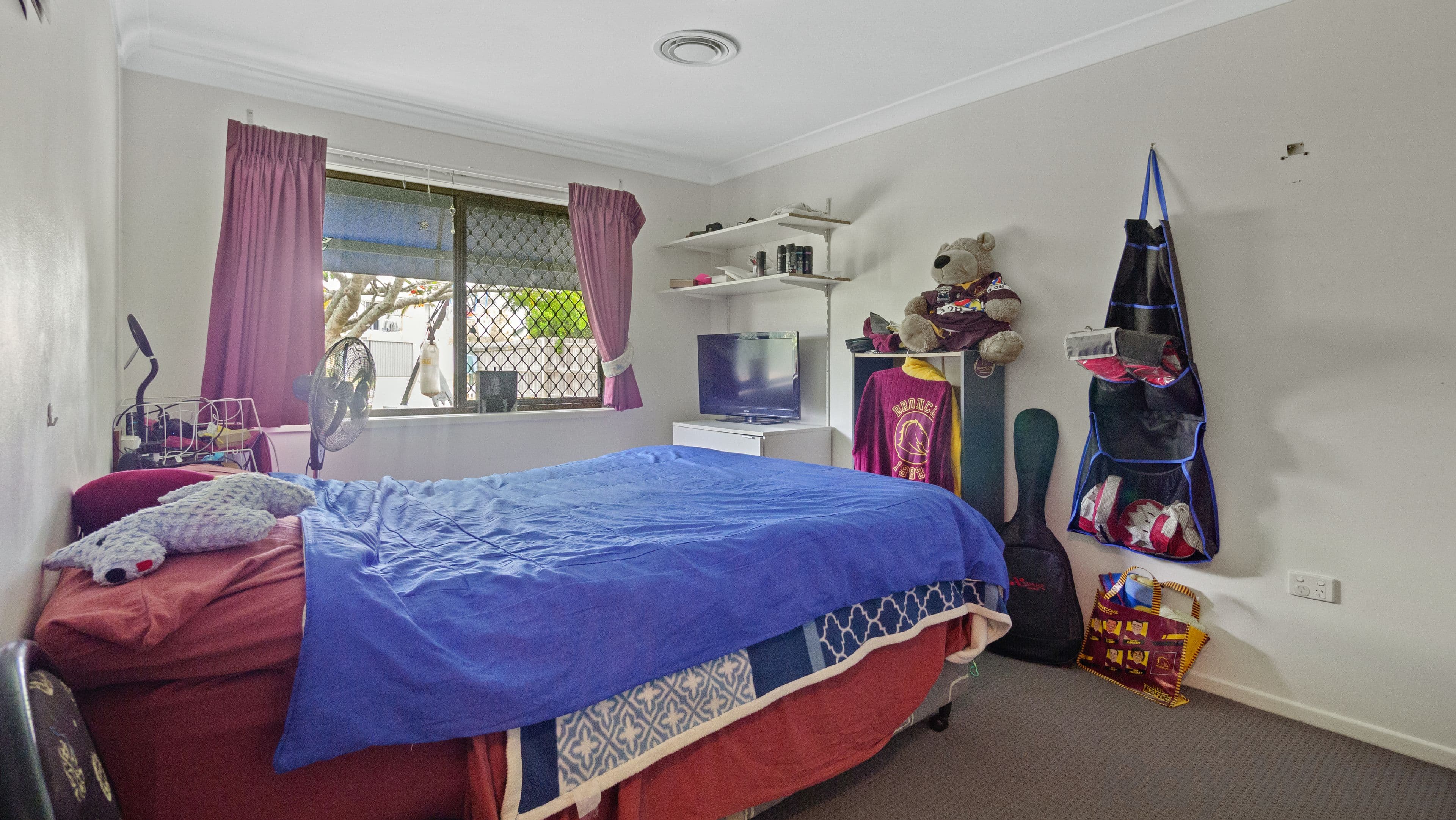 52 Alpinia Street, Alexandra Hills QLD 4161, Alexandra Hills - Thumbnail 8