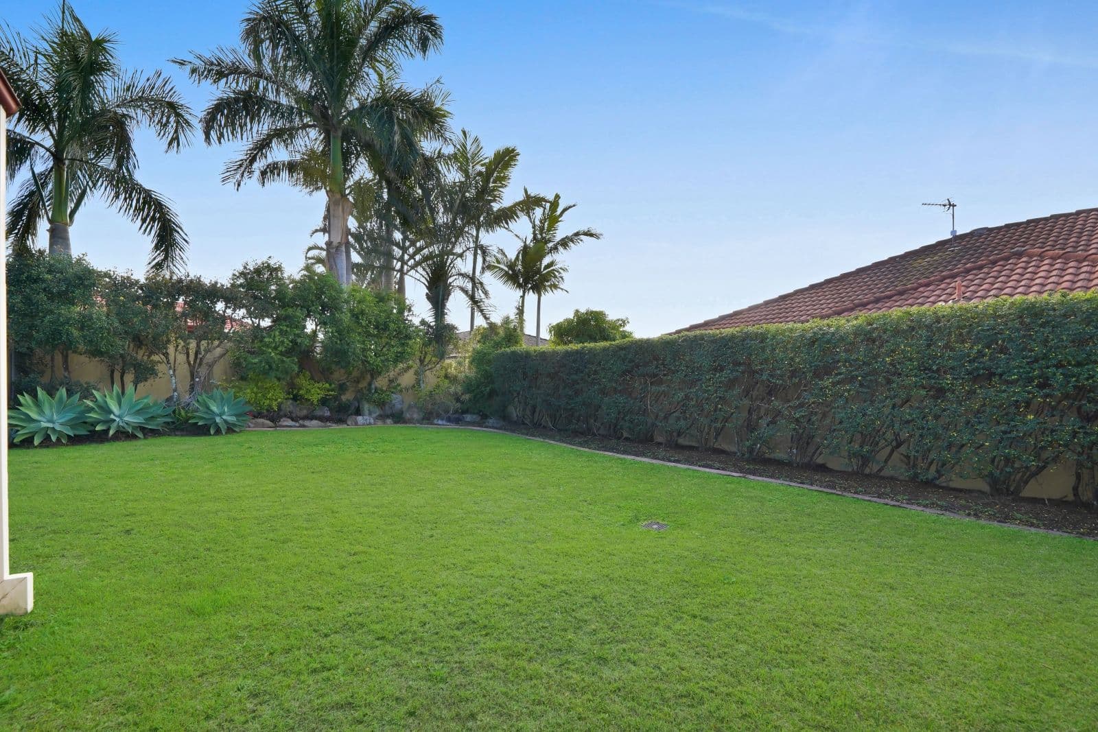 7 Oxford Court, Arundel QLD 4214, Arundel - Thumbnail 8