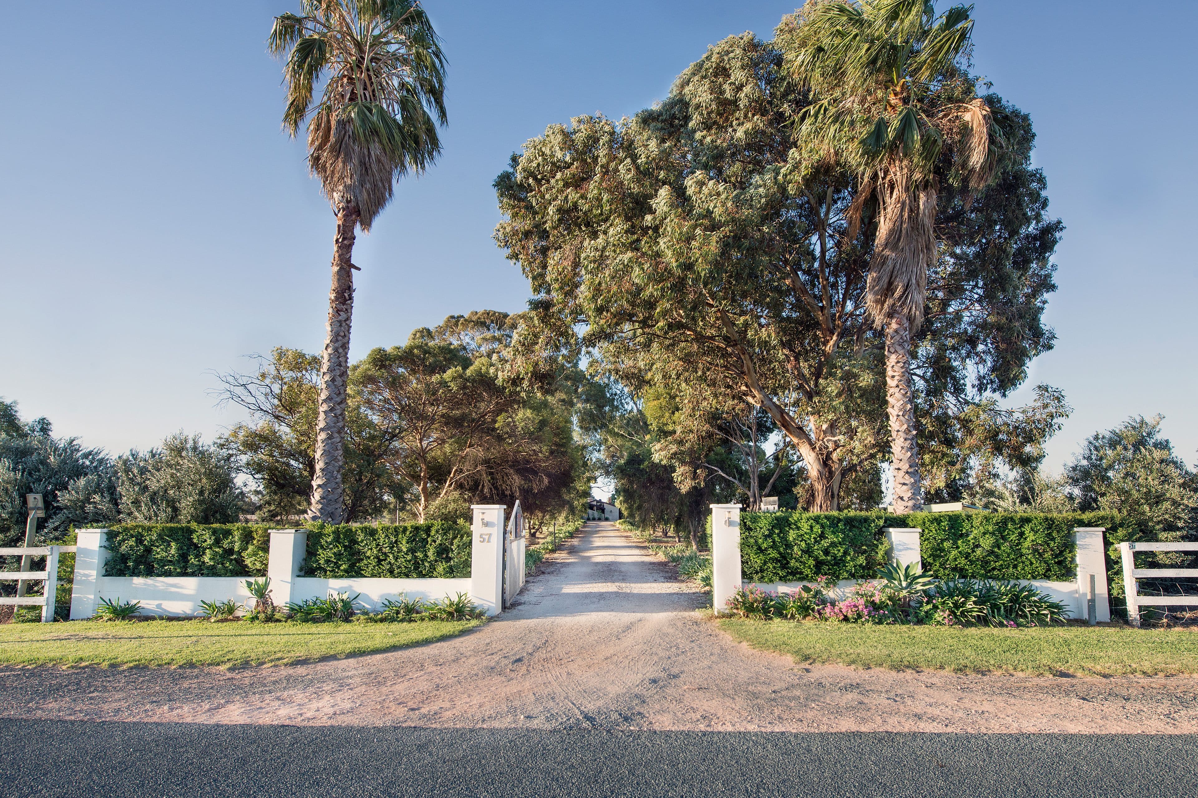 57 Douglas Road, Swan Hill VIC 3585, Swan Hill - Thumbnail 2