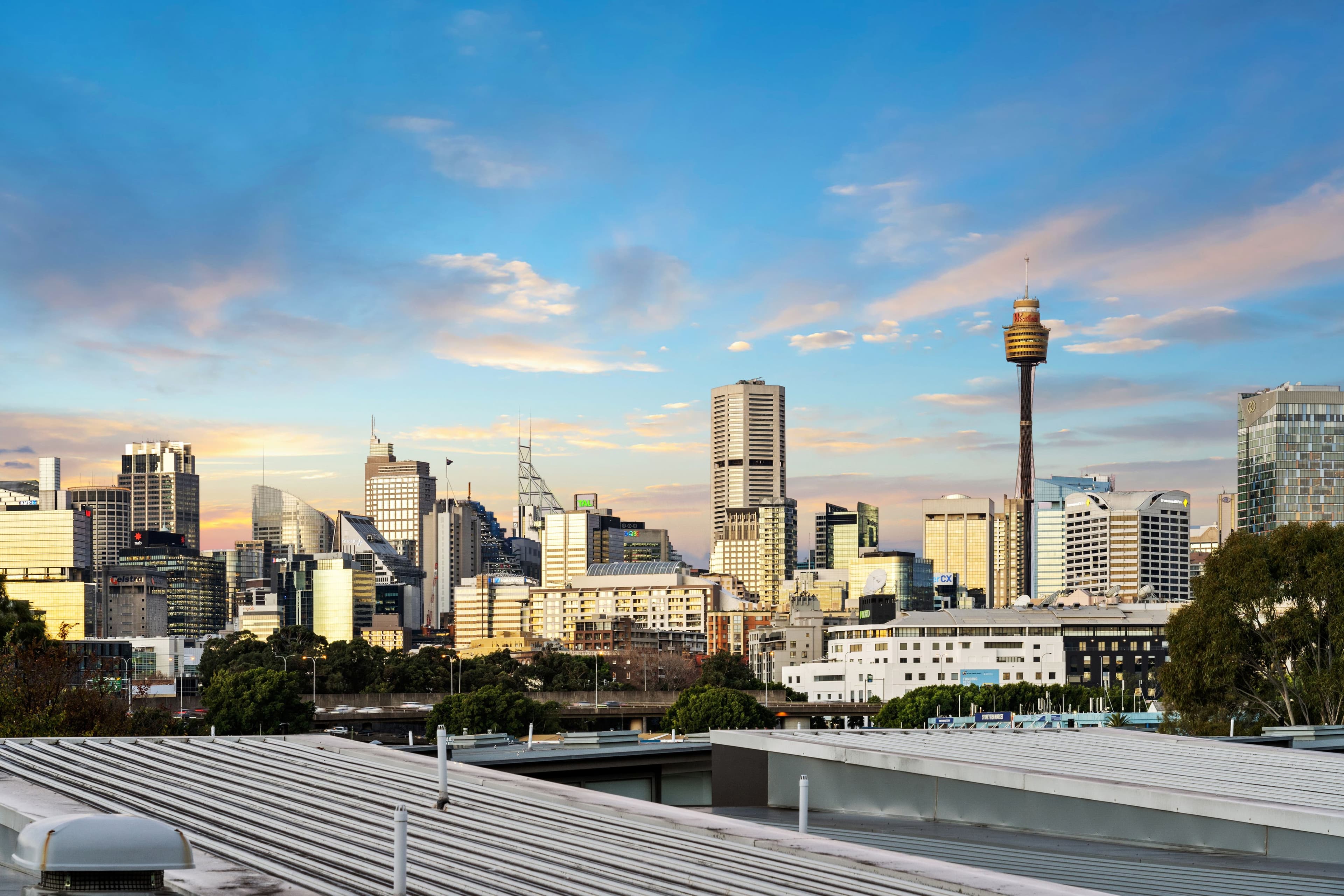 14 Griffin Place, Glebe NSW 2037, Glebe - Thumbnail 4