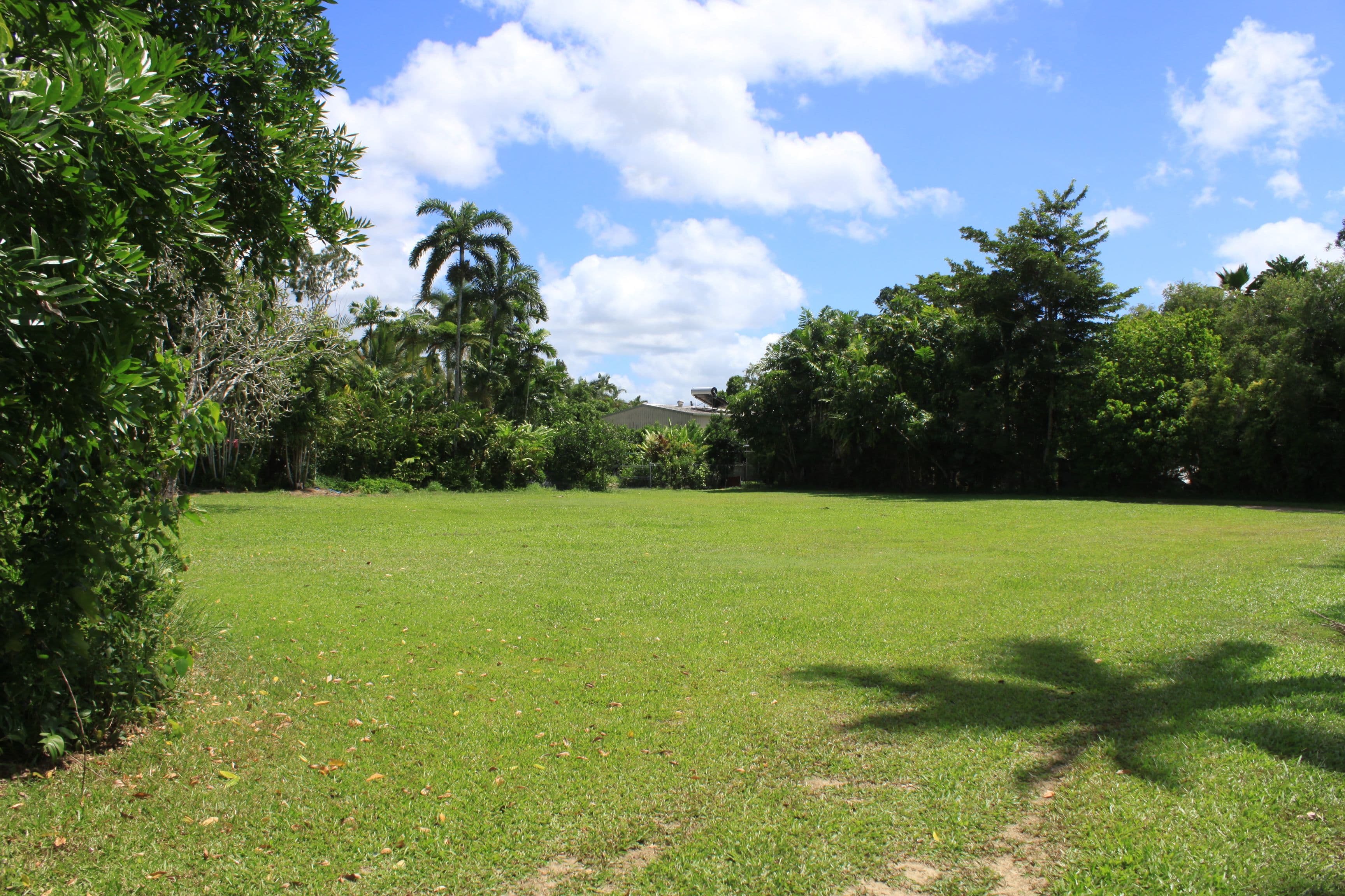 21 Osborne Street, Daintree QLD 4873, Daintree - Thumbnail 2