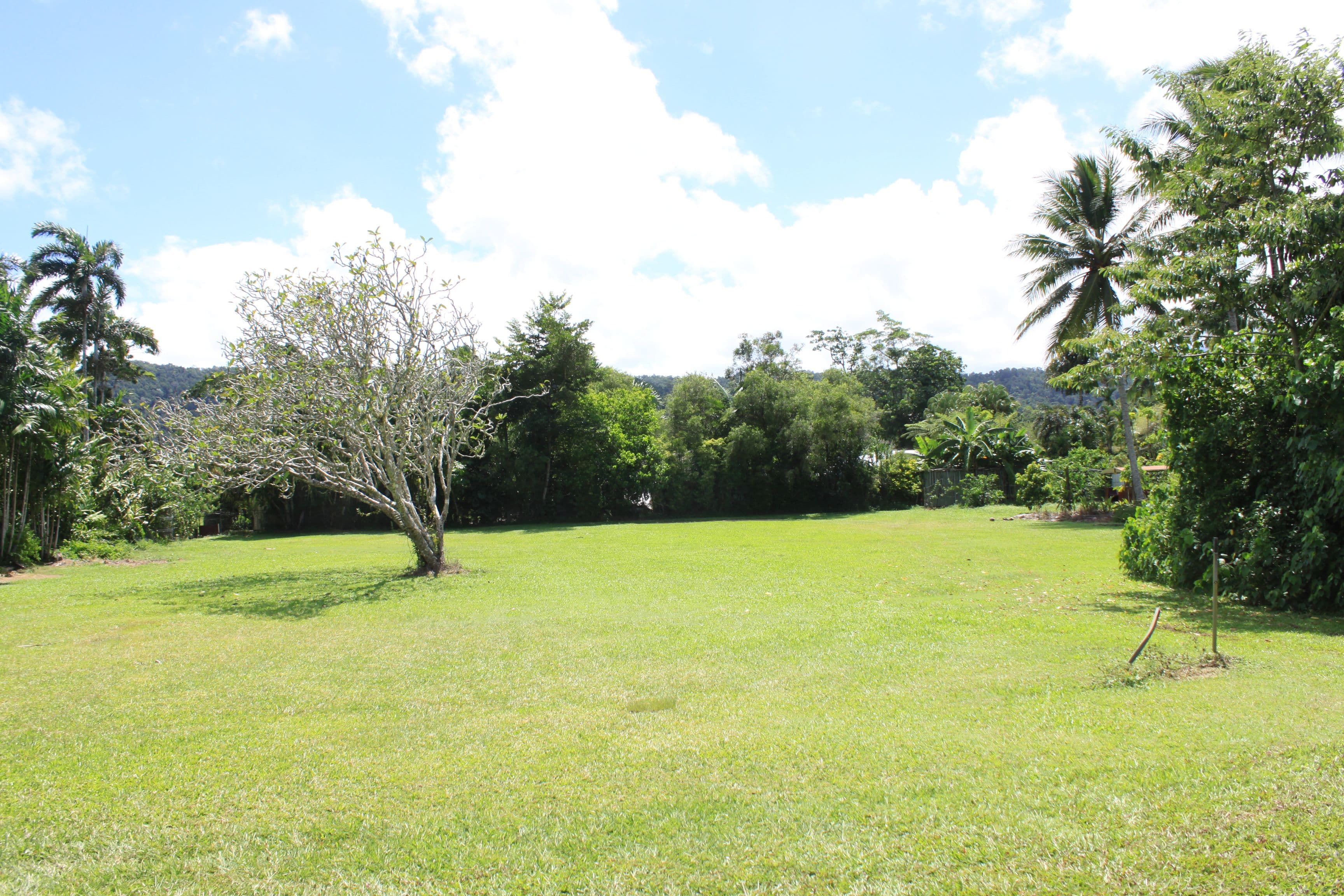 21 Osborne Street, Daintree QLD 4873, Daintree - Thumbnail 3