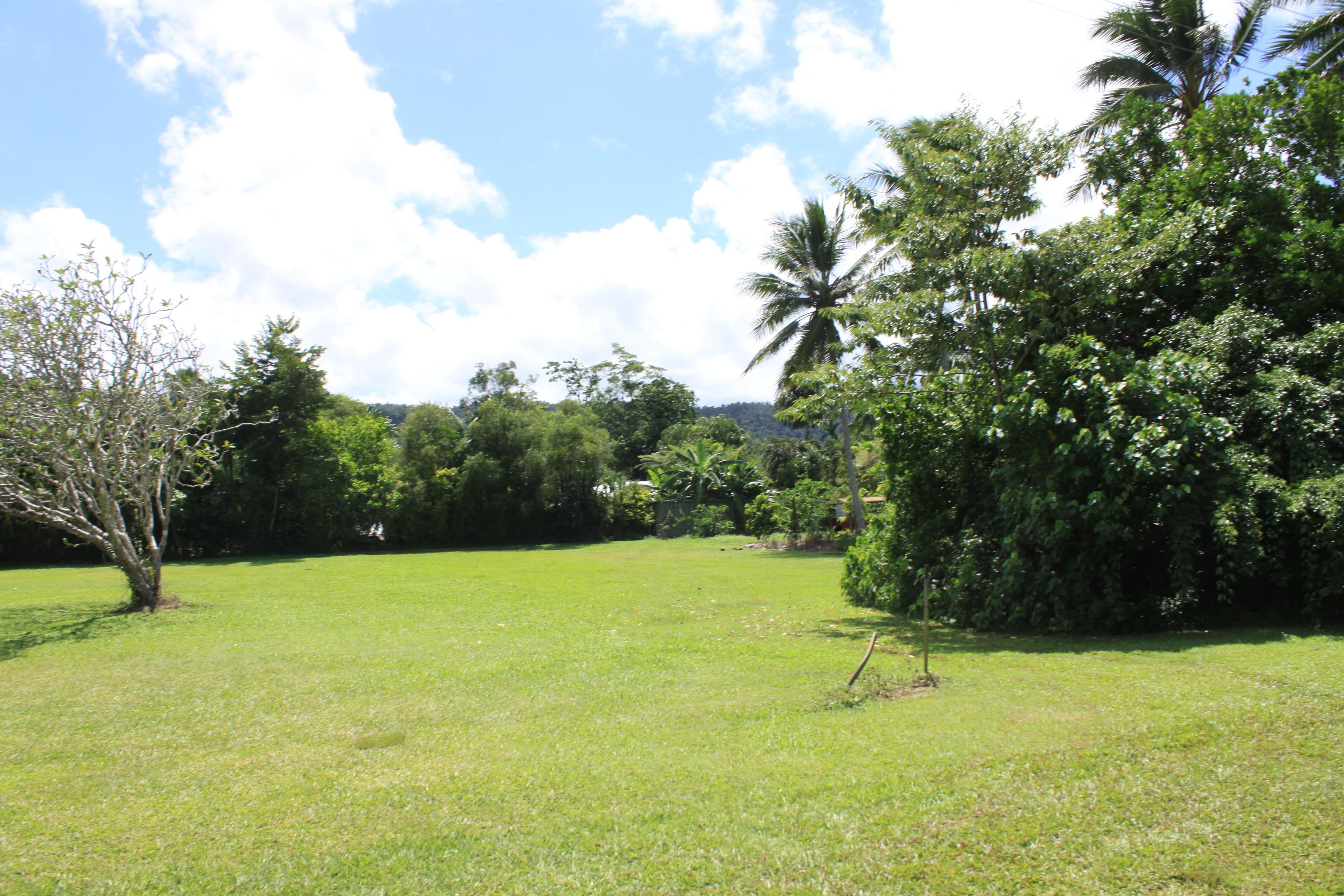 21 Osborne Street, Daintree QLD 4873, Daintree - Thumbnail 4