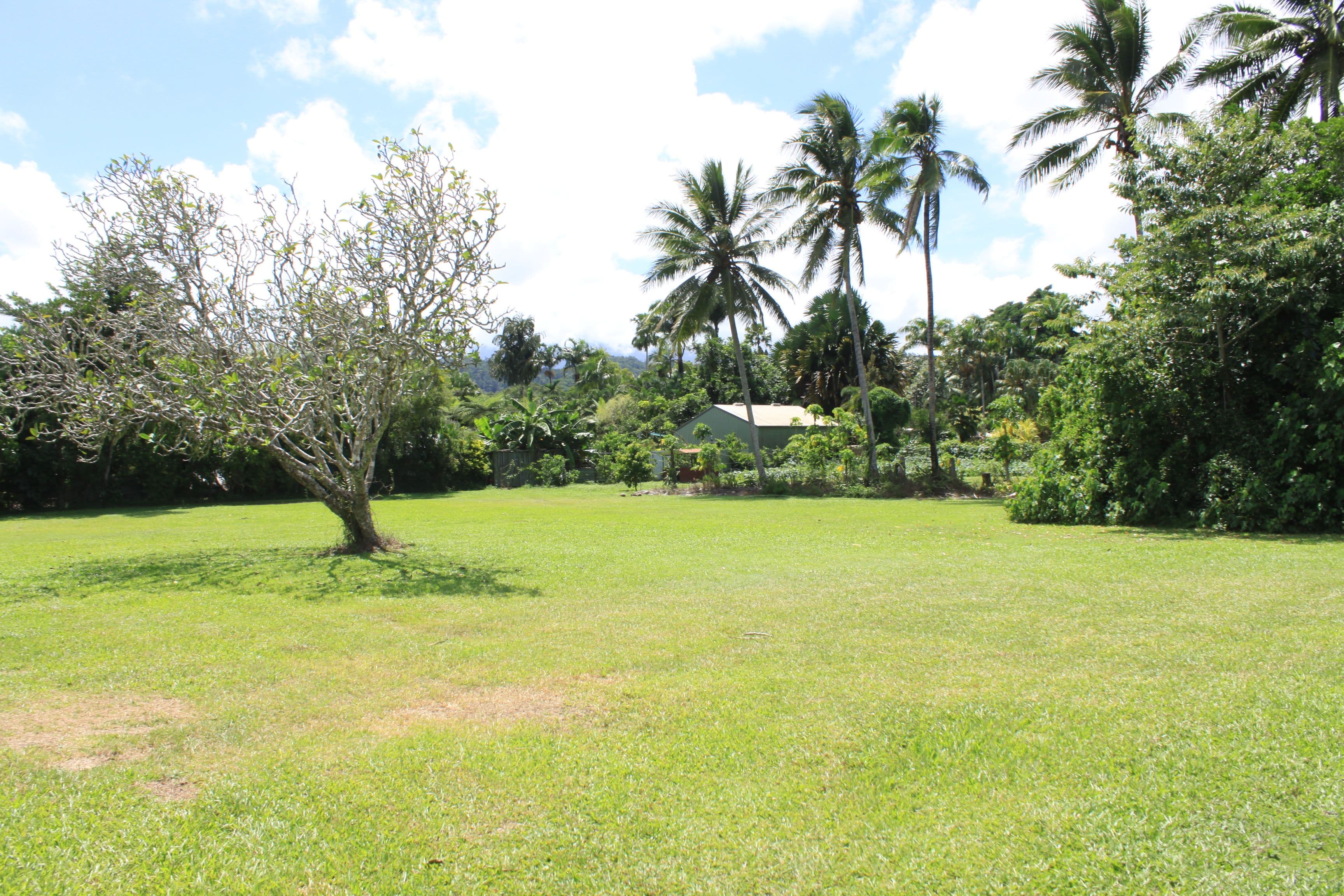 21 Osborne Street, Daintree QLD 4873, Daintree - Thumbnail 5