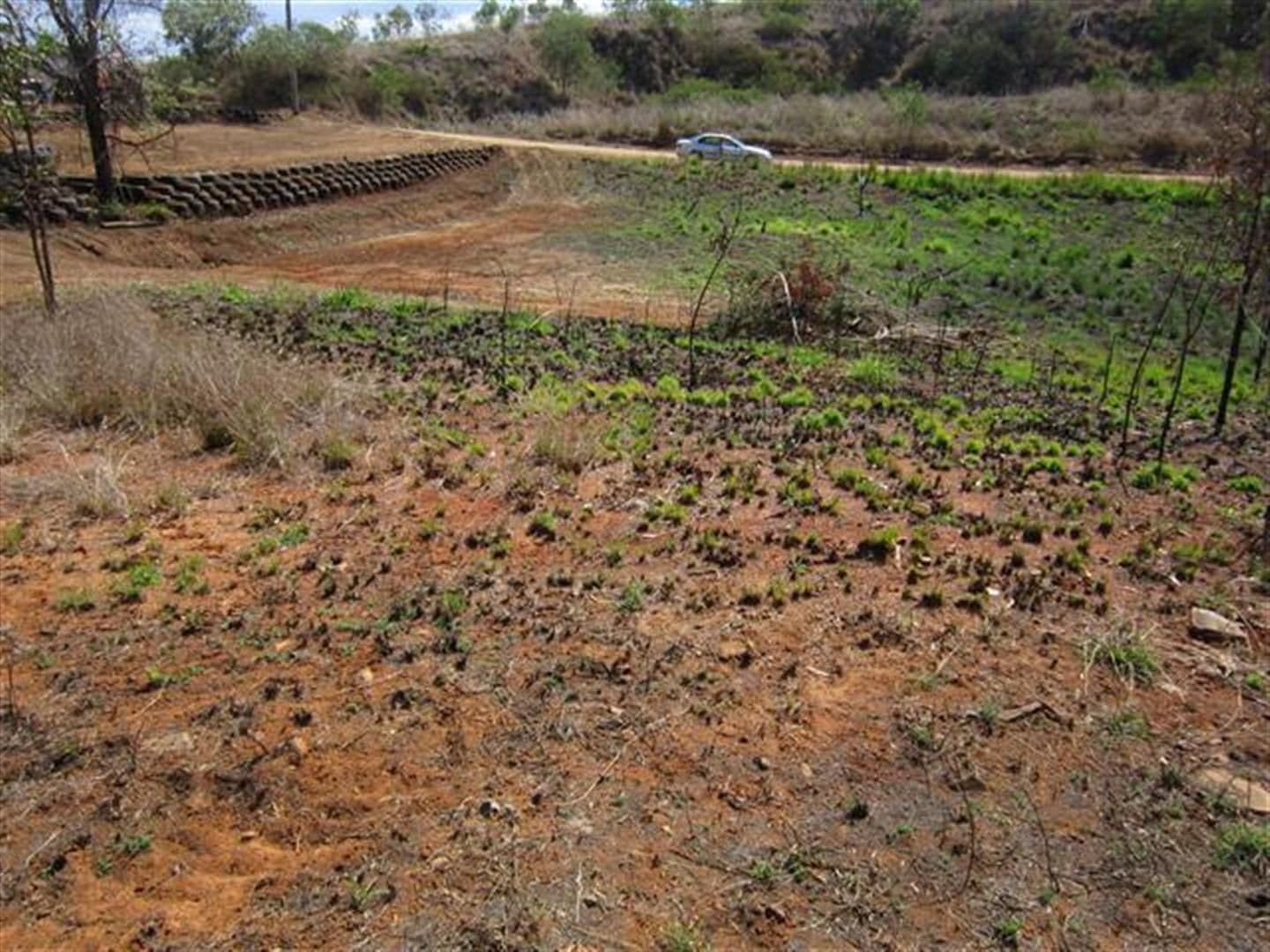 6 Rifle Range Access Road, Walterhall QLD 4714, Walterhall - Thumbnail 8