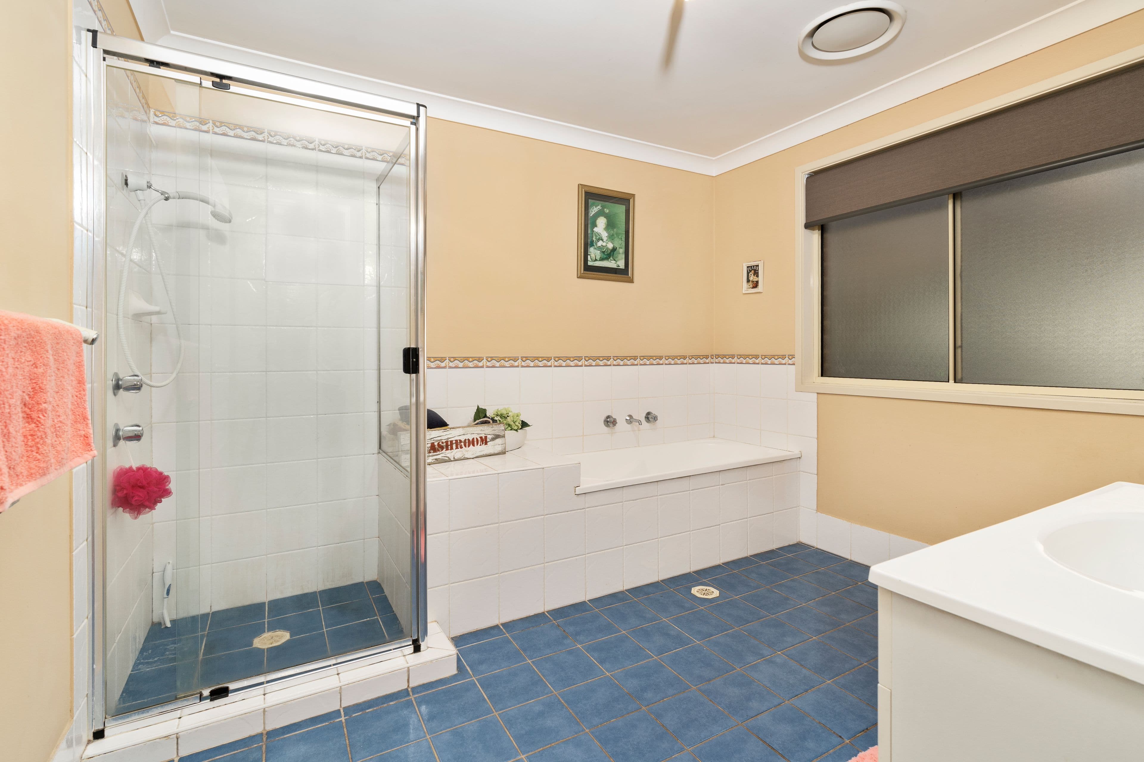 29 Boronia Avenue, Mount Annan NSW 2567, Mount Annan - Thumbnail 8