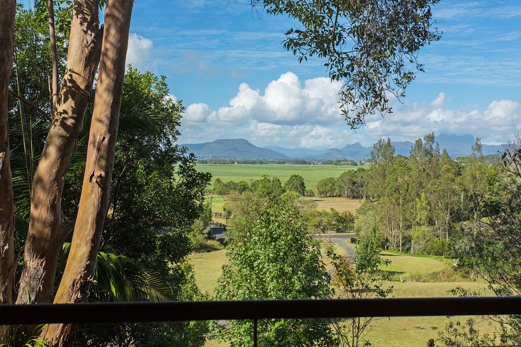 65 Hoop Pine Road, DULGUIGAN NSW 2484, Dulguigan - Thumbnail 4