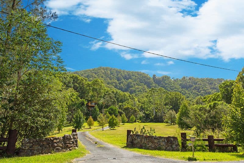 65 Hoop Pine Road, DULGUIGAN NSW 2484, Dulguigan - Thumbnail 5