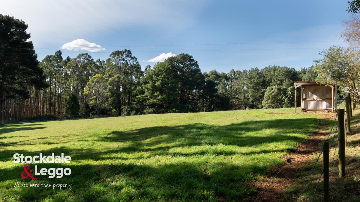 1568 Grand Ridge Road, Mirboo VIC 3871, Mirboo - Thumbnail 3