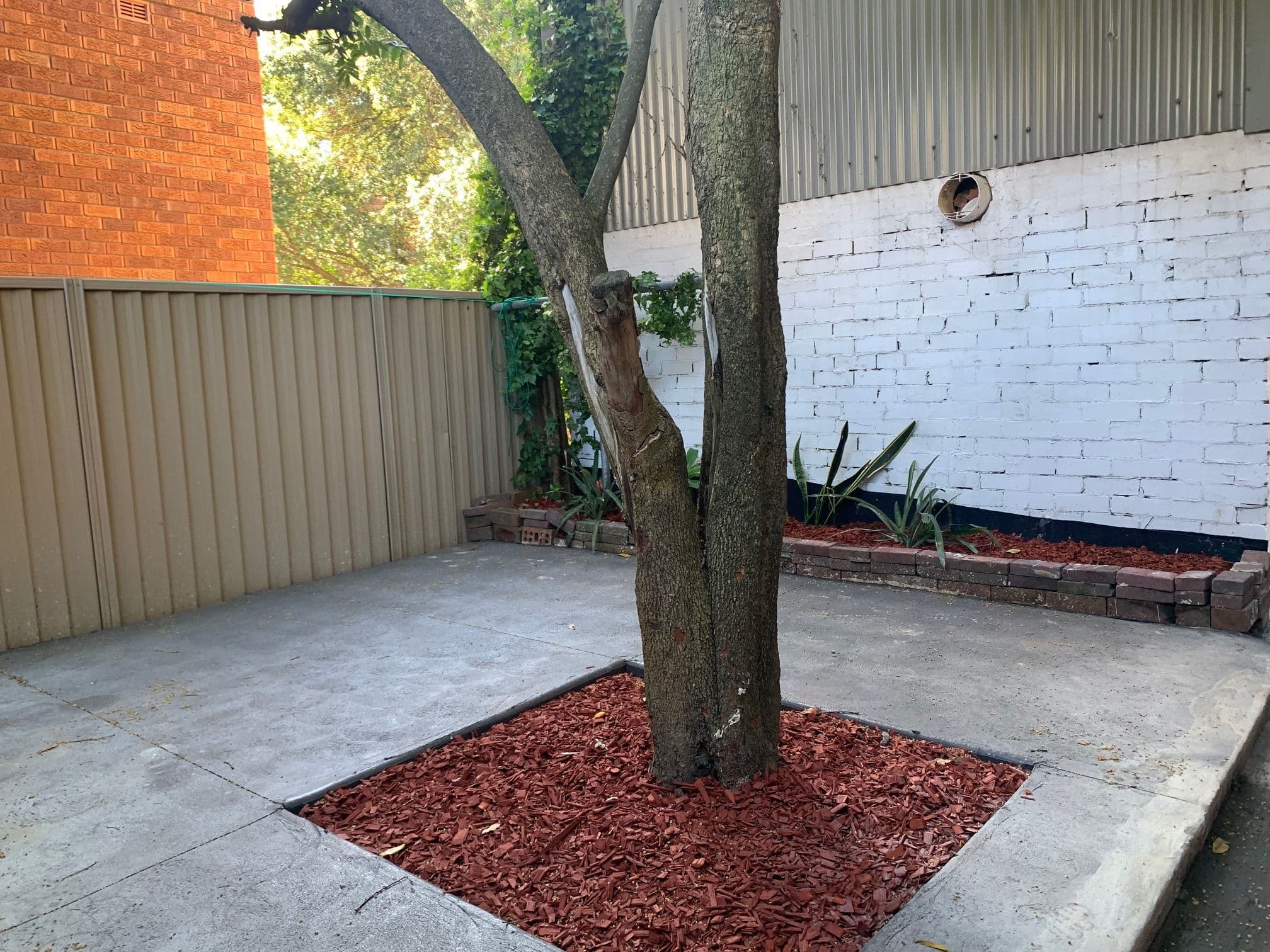 65 Arthur Street, Randwick NSW 2031, Randwick - Thumbnail 8