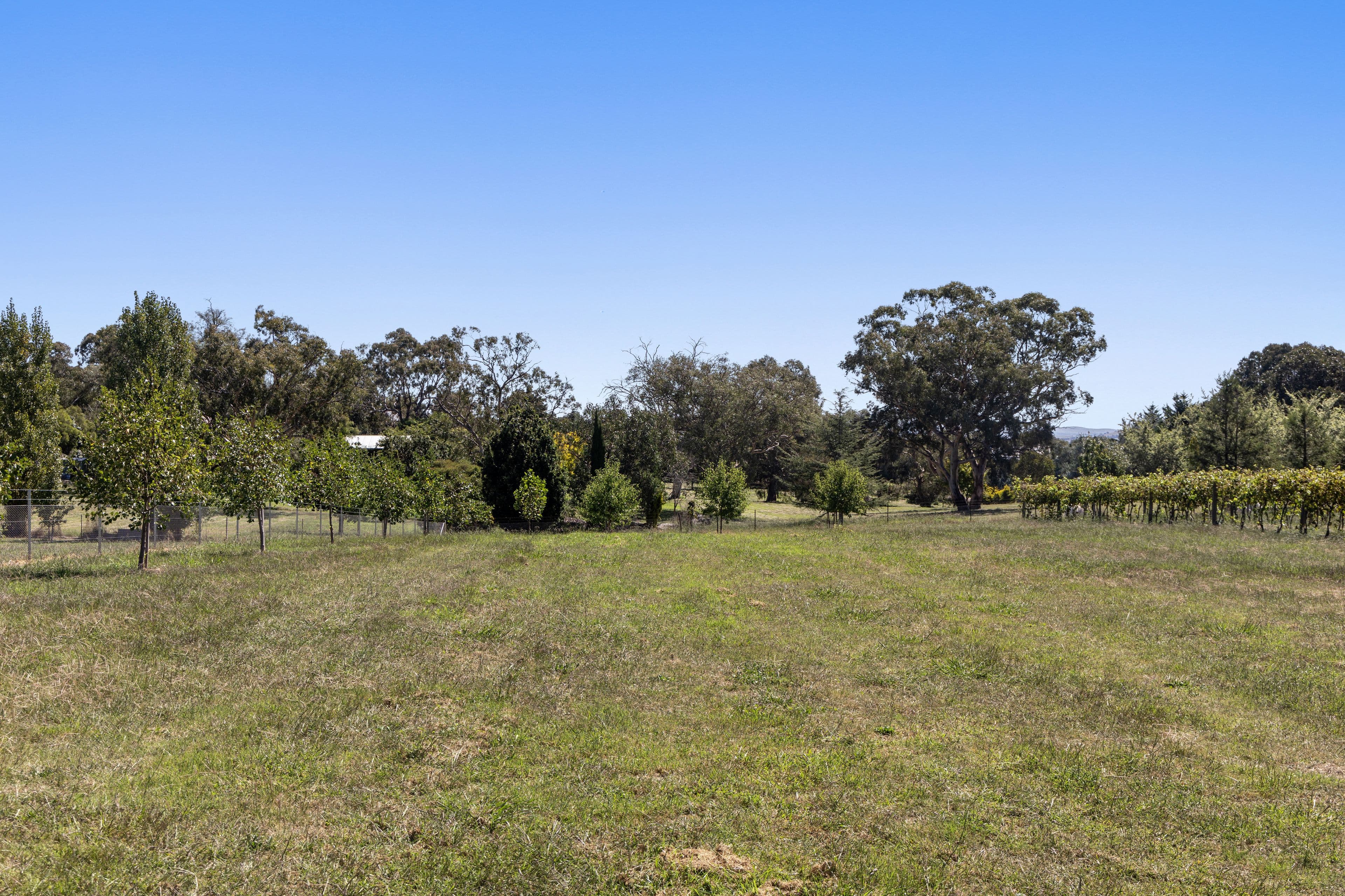 8 Harrow Lane, Yass NSW 2582, Yass - Thumbnail 2