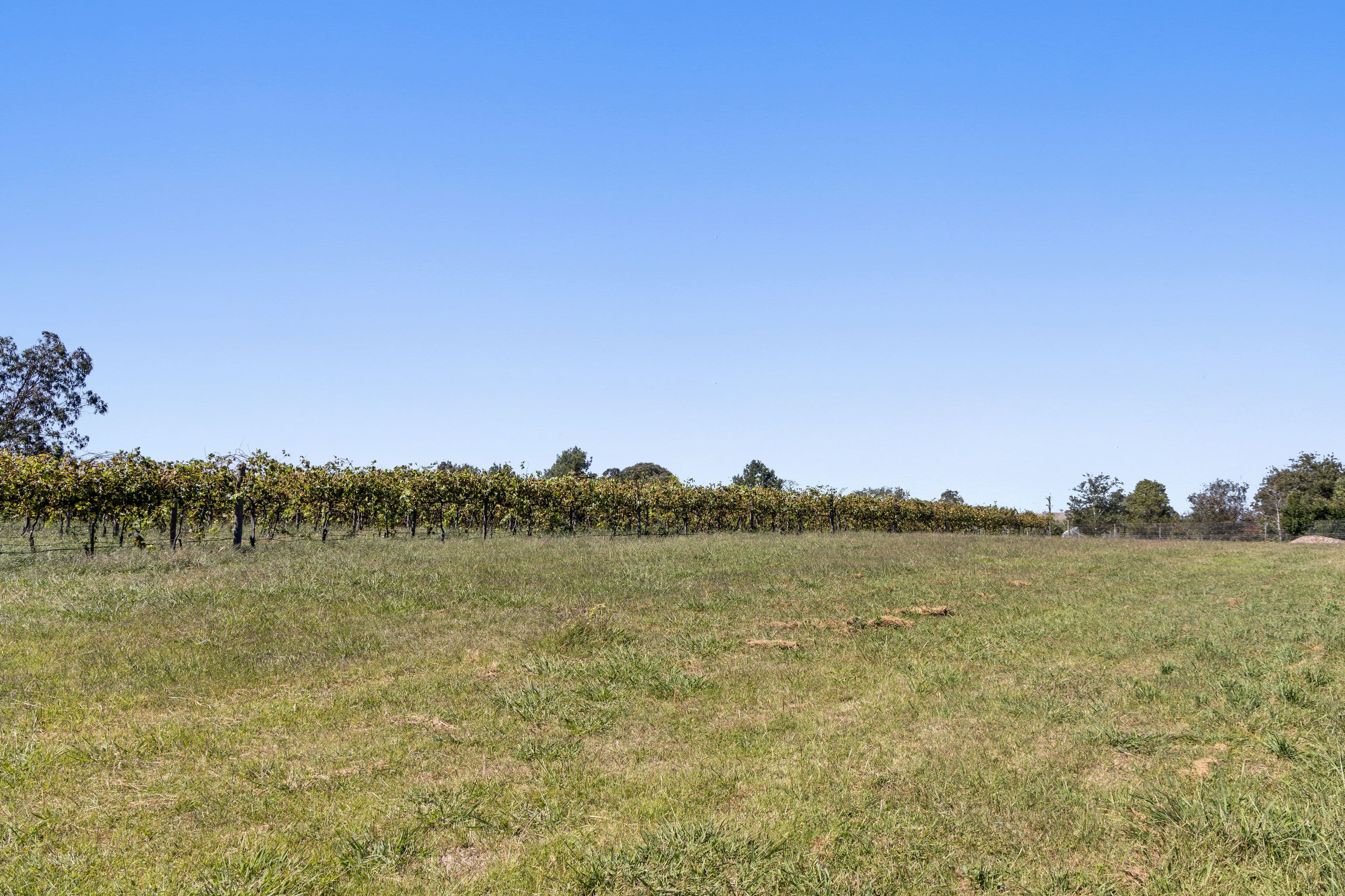 8 Harrow Lane, Yass NSW 2582, Yass - Thumbnail 3