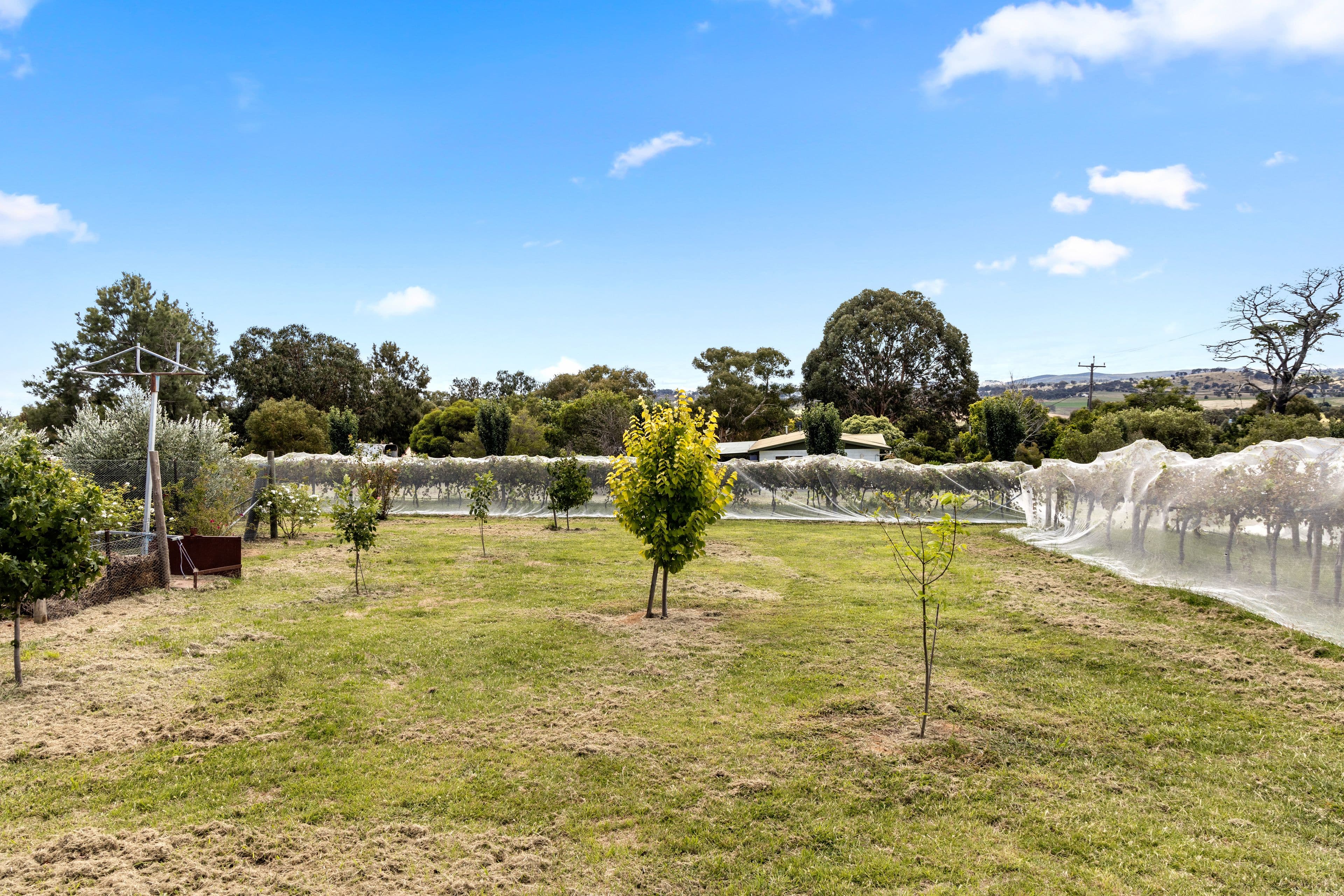 8 Harrow Lane, Yass NSW 2582, Yass - Thumbnail 4