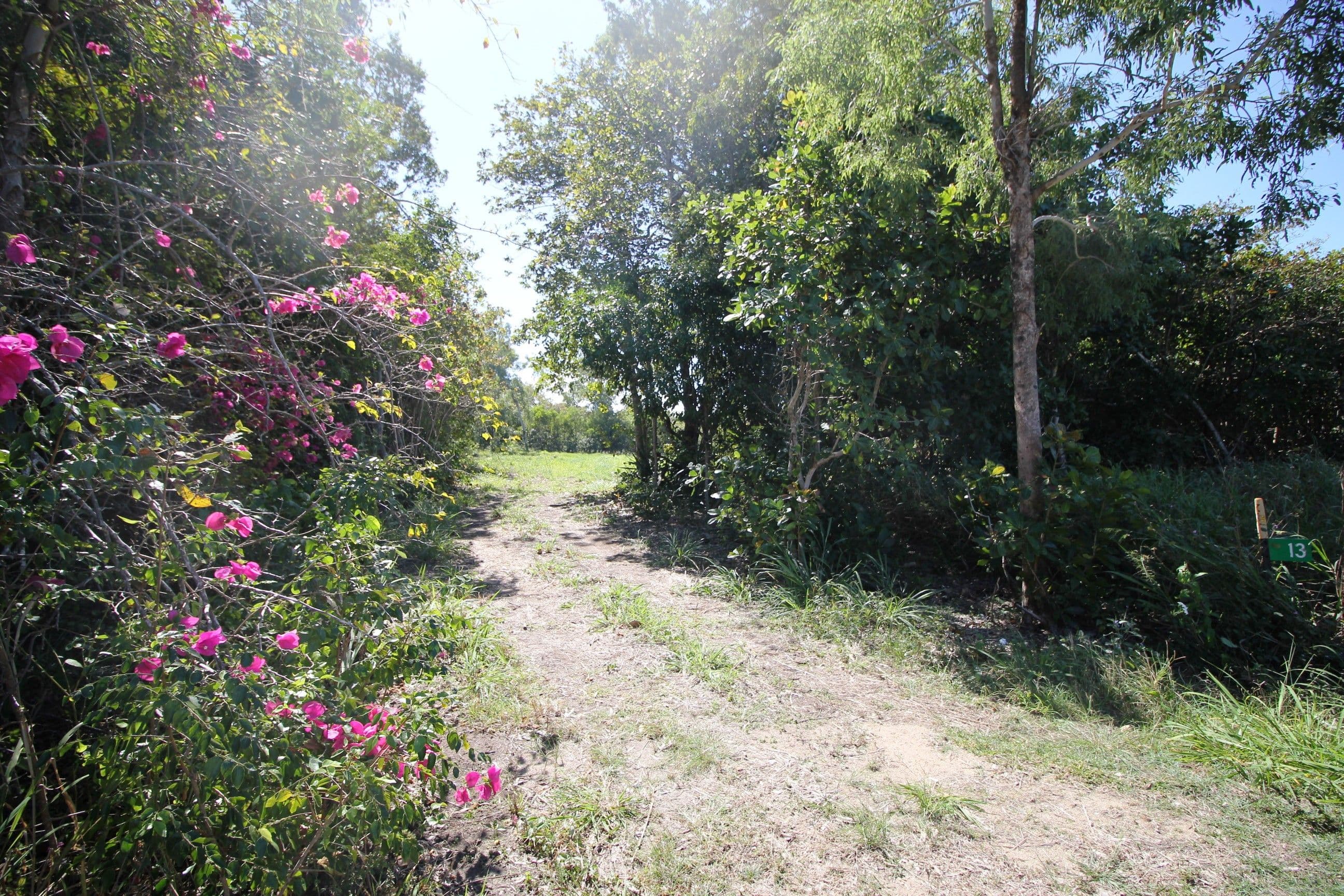 13 Forrest Lane, Forrest Beach QLD 4850, Forrest Beach - Thumbnail 6