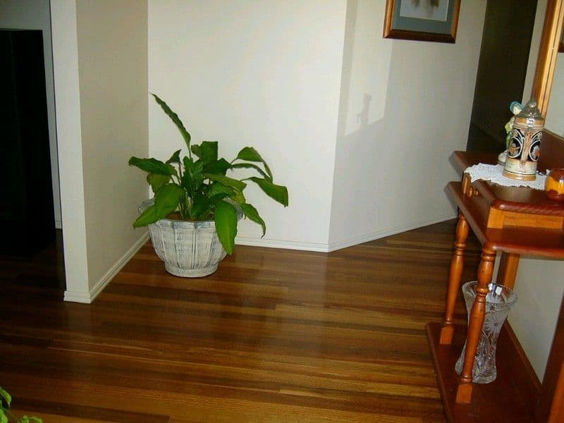 9 Kavanagh Crescent, KOONGAL QLD 4701, Koongal - Thumbnail 7