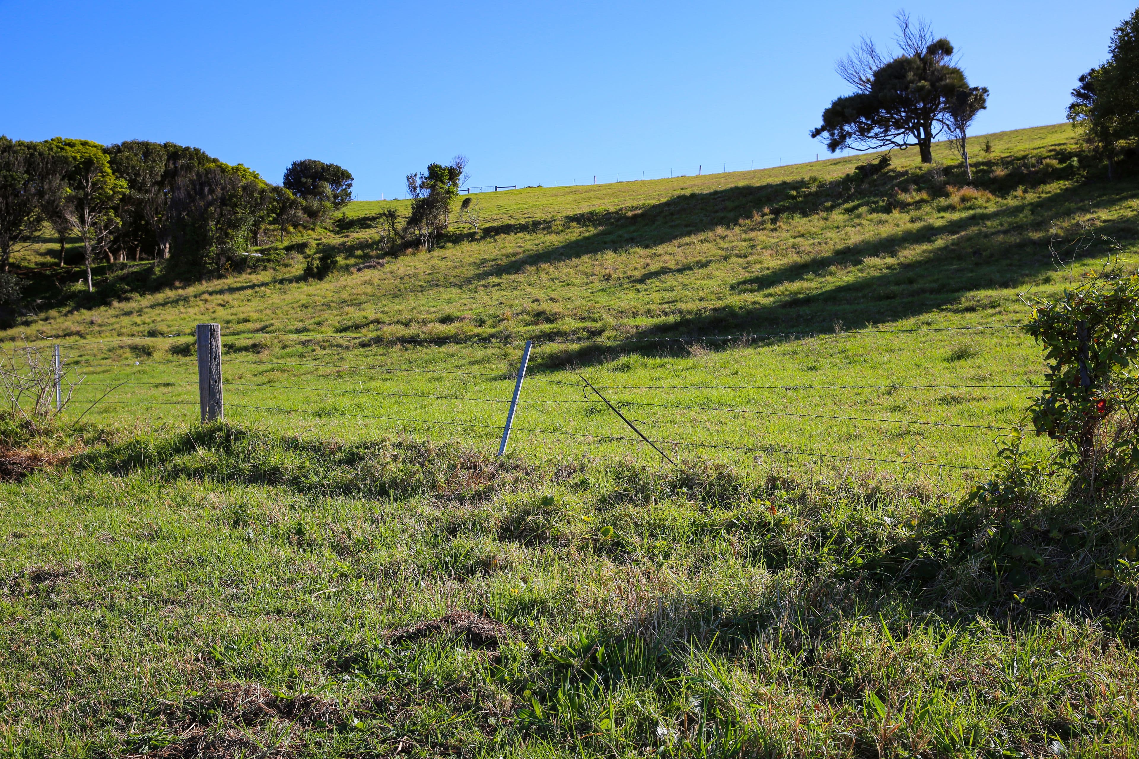 48 Headland Drive, Gerroa NSW 2534, Gerroa - Thumbnail 5
