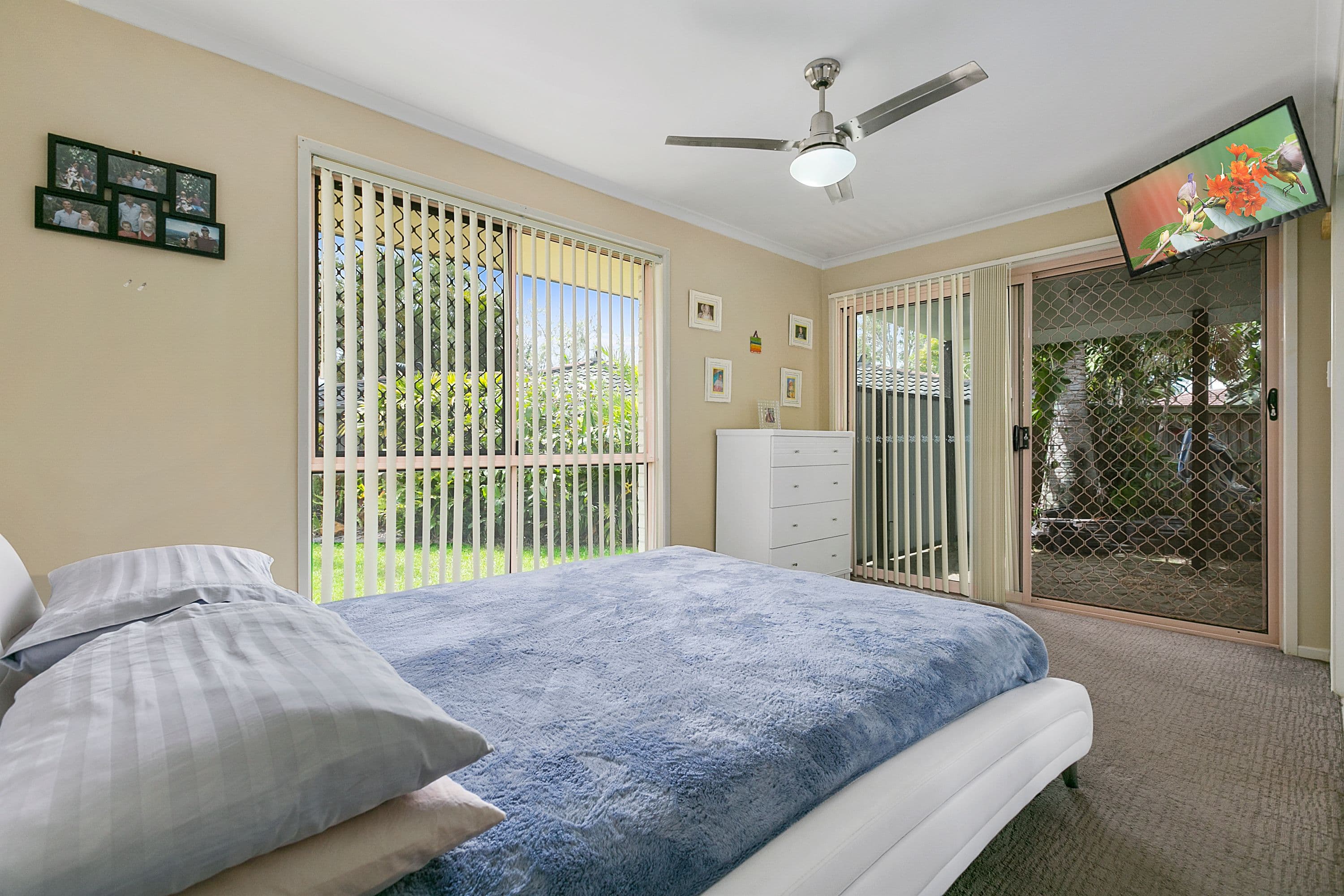 15 Gooloi Court, Tewantin QLD 4565, Tewantin - Thumbnail 5