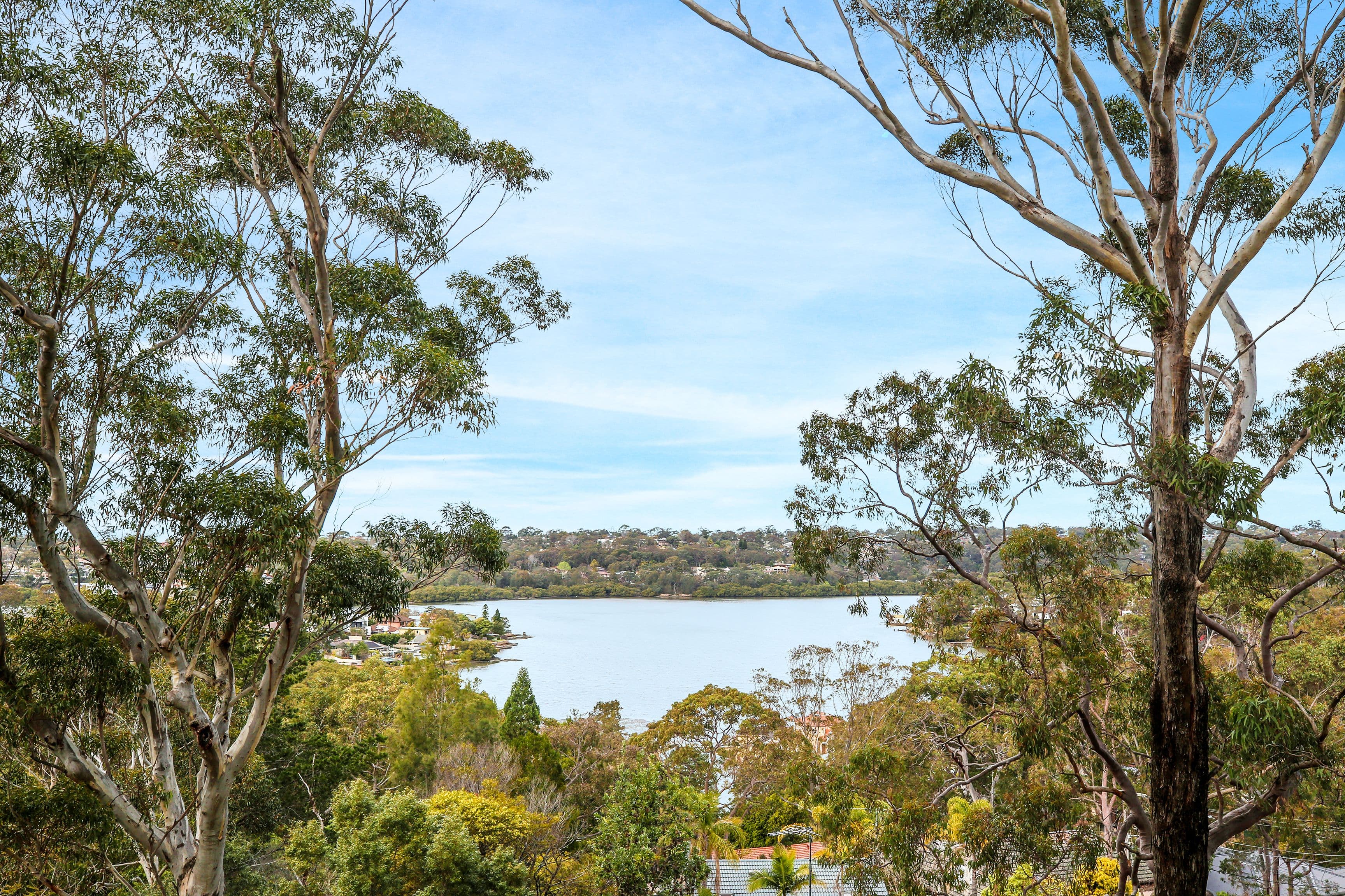78 Carina Road, Oyster Bay - Thumbnail 4