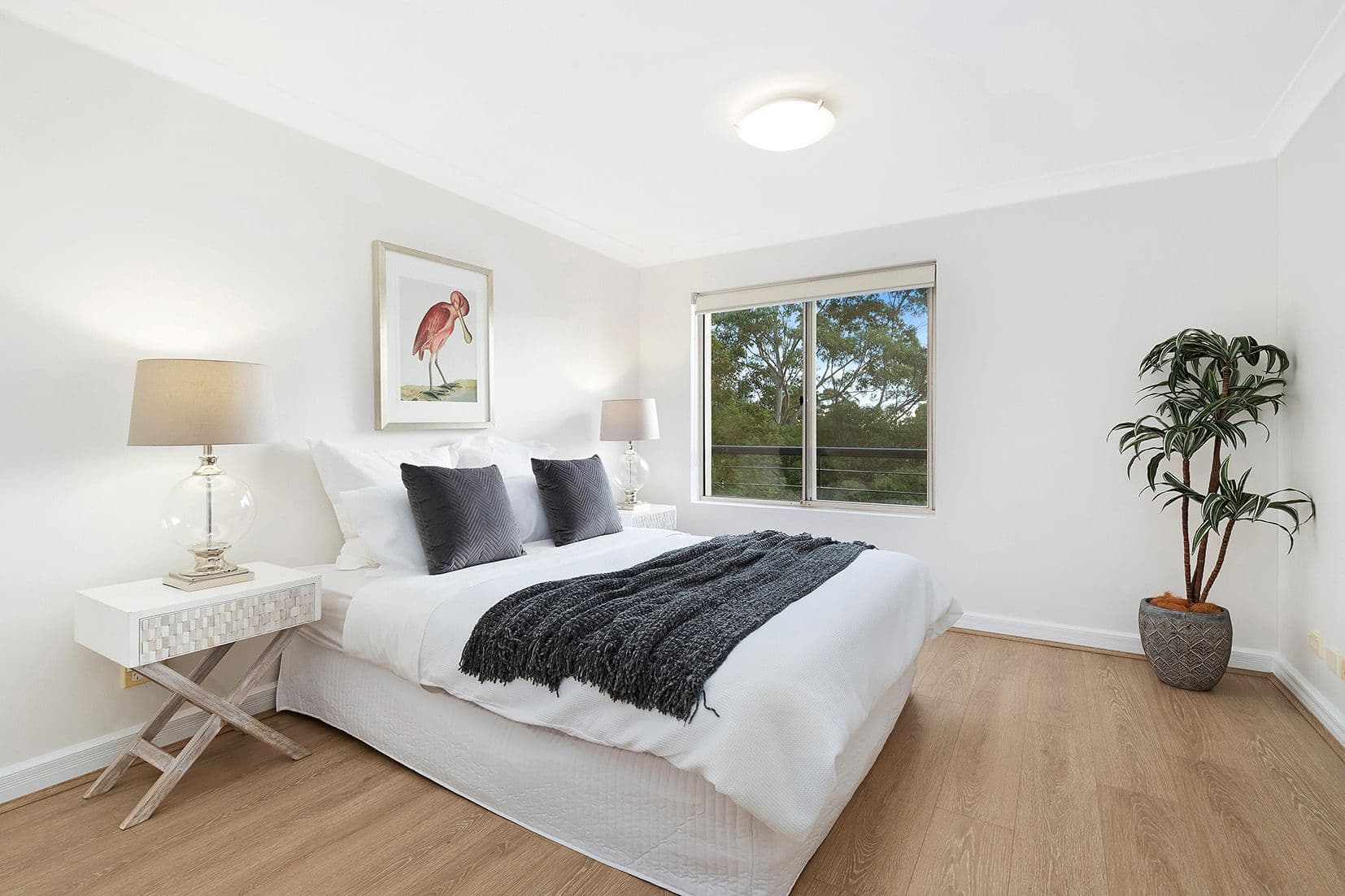 28 Whitton Road, Chatswood NSW 2067, Chatswood - Thumbnail 5