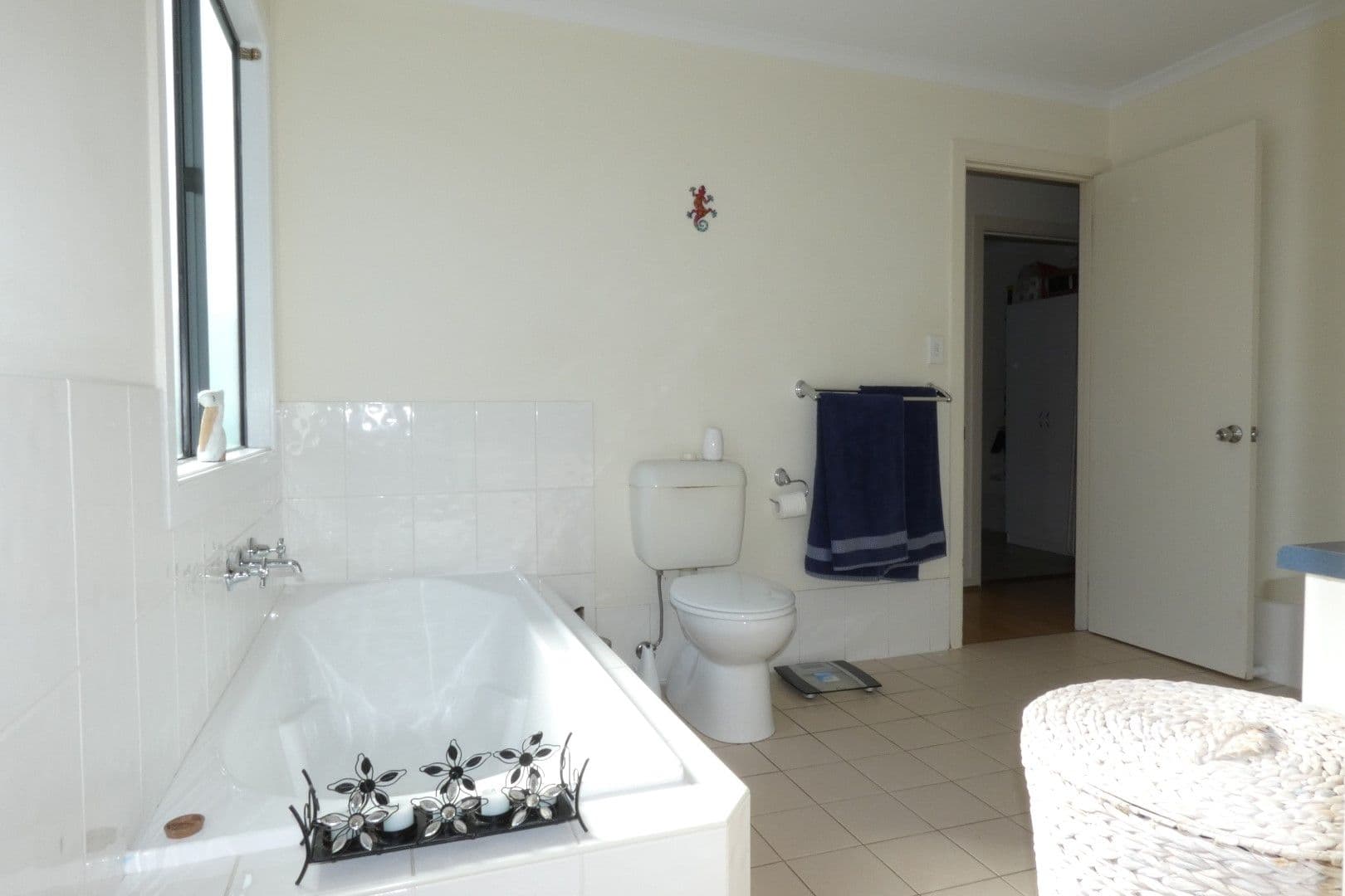 5 Acacia Court, Marion Bay SA 5575, Marion Bay - Thumbnail 8