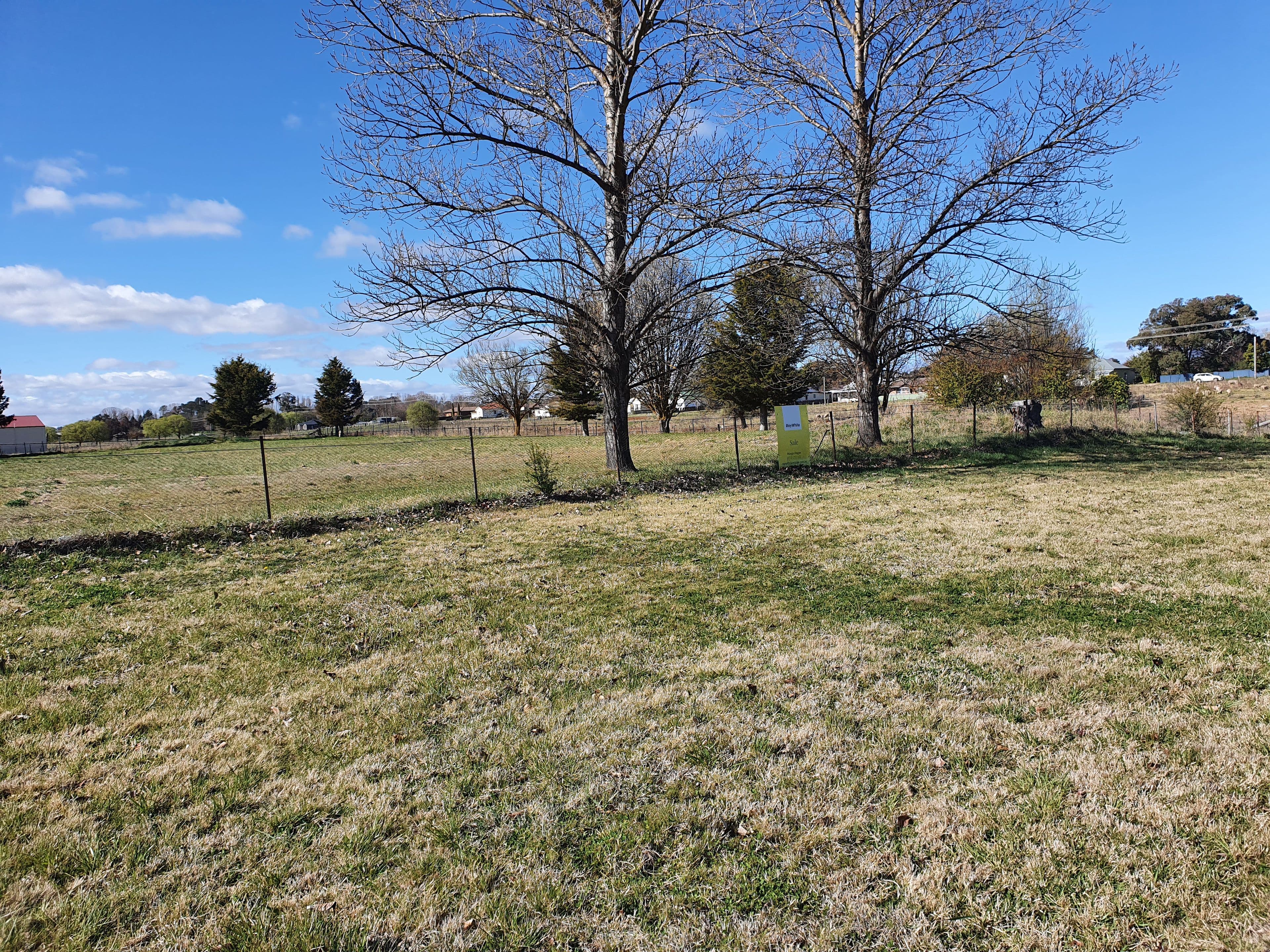 8 Worra Street, Guyra NSW 2365, Guyra - Image 1