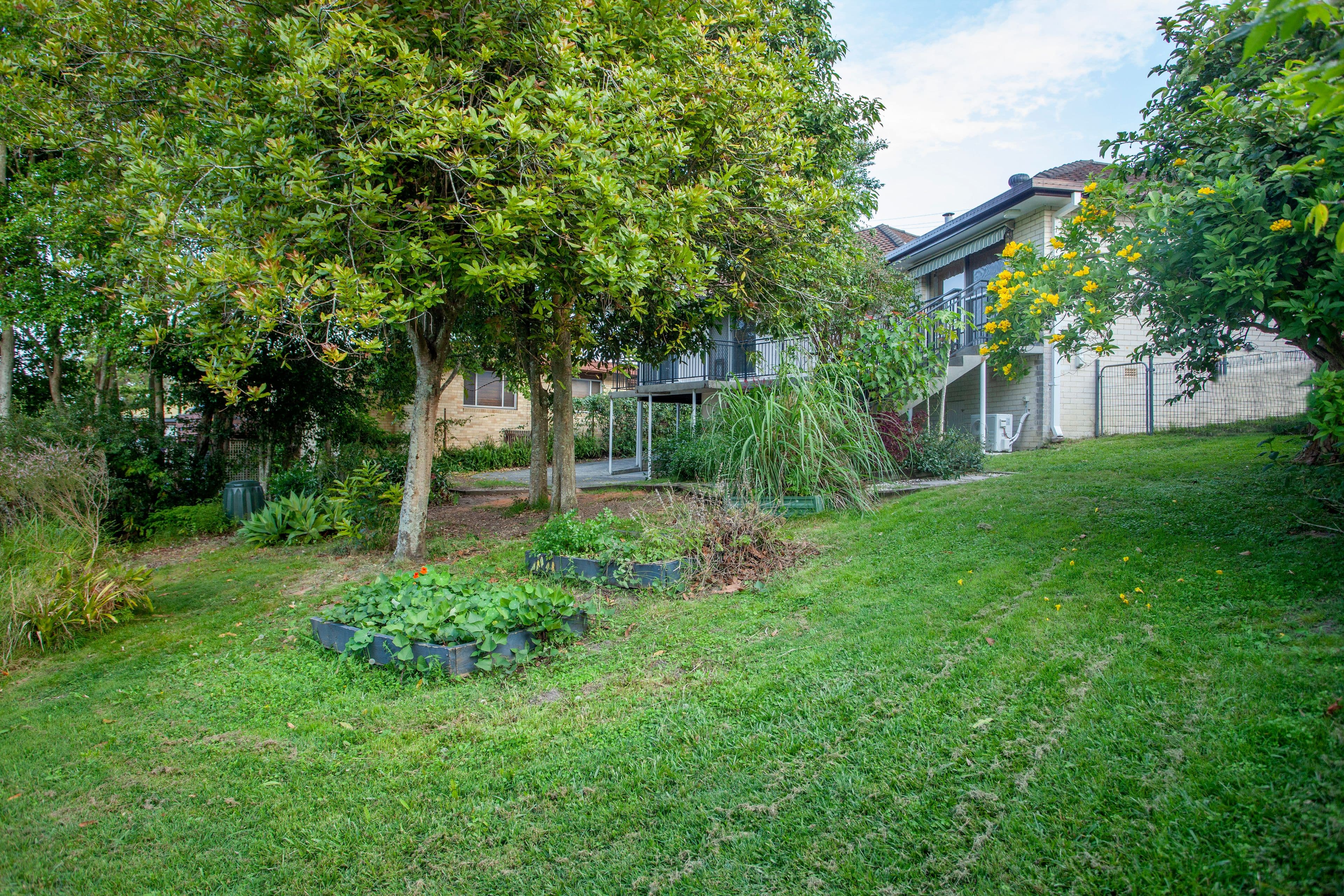 54 Ritchie Crescent, Taree NSW 2430, Taree - Thumbnail 4