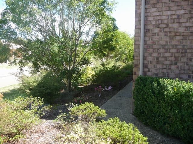 1 Derwent Avenue, TATTON NSW 2650, Tatton - Thumbnail 8