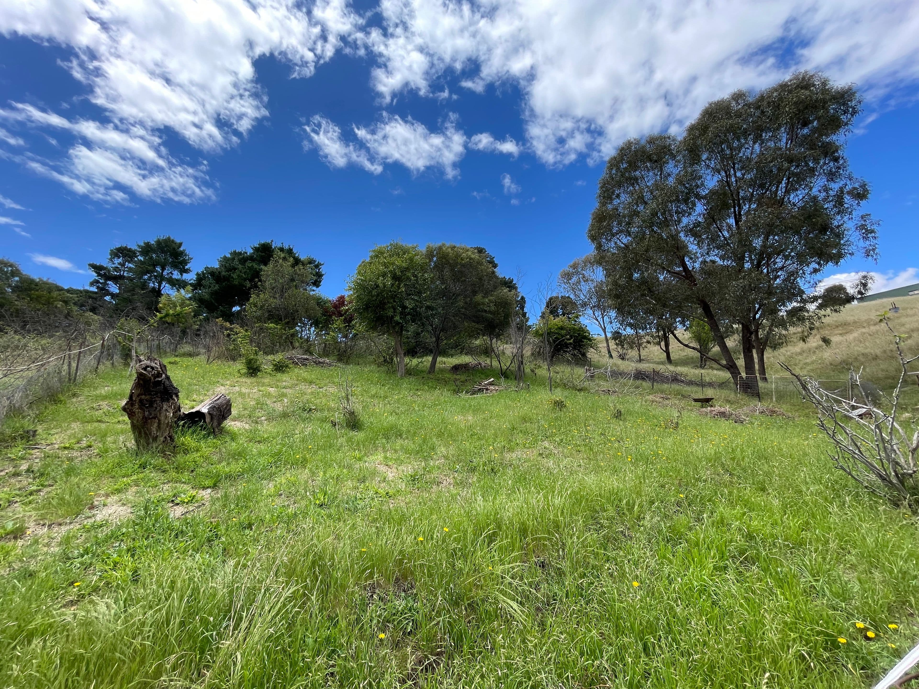 102 Hanley Street, Gundagai NSW 2722, Gundagai - Thumbnail 2