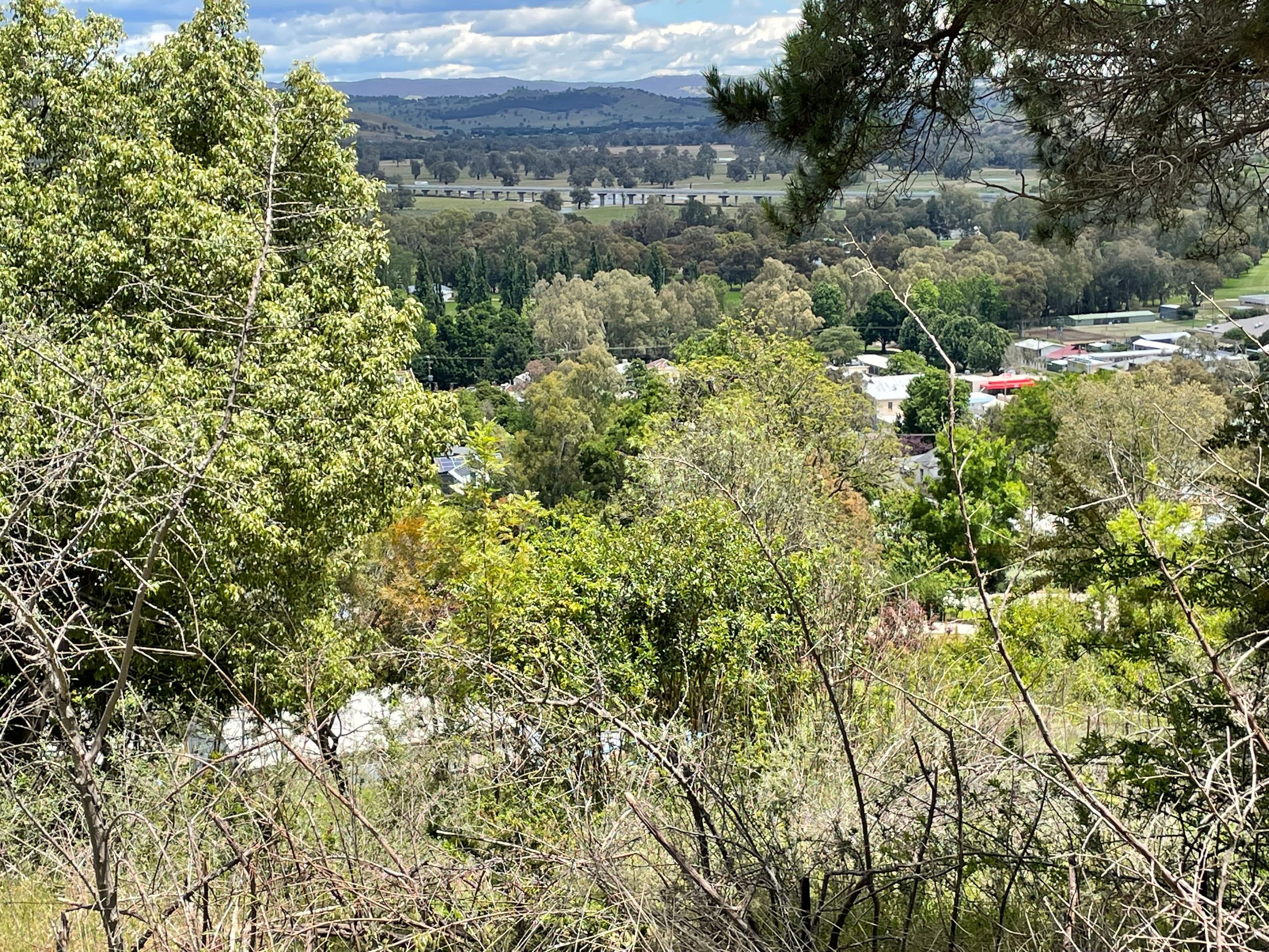 102 Hanley Street, Gundagai NSW 2722, Gundagai - Thumbnail 3