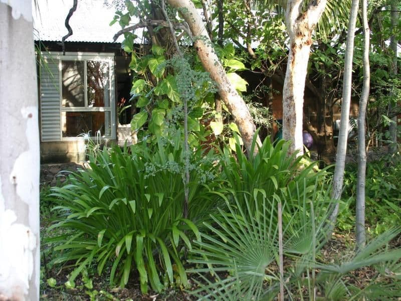 2 Galvins Way, DERBY WA 6728, Derby - Thumbnail 4