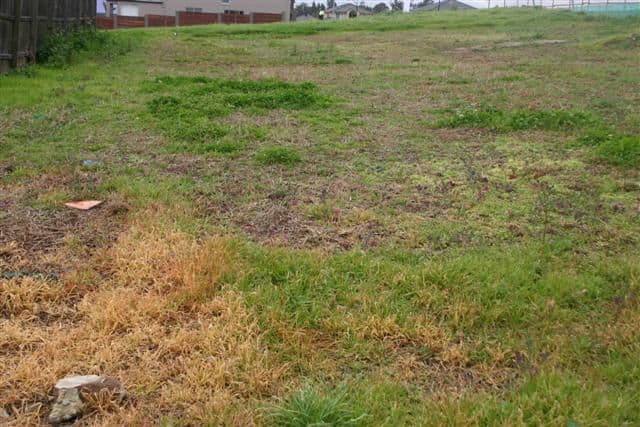 BEAUMONT HILLS NSW 2155, Beaumont Hills - Thumbnail 2
