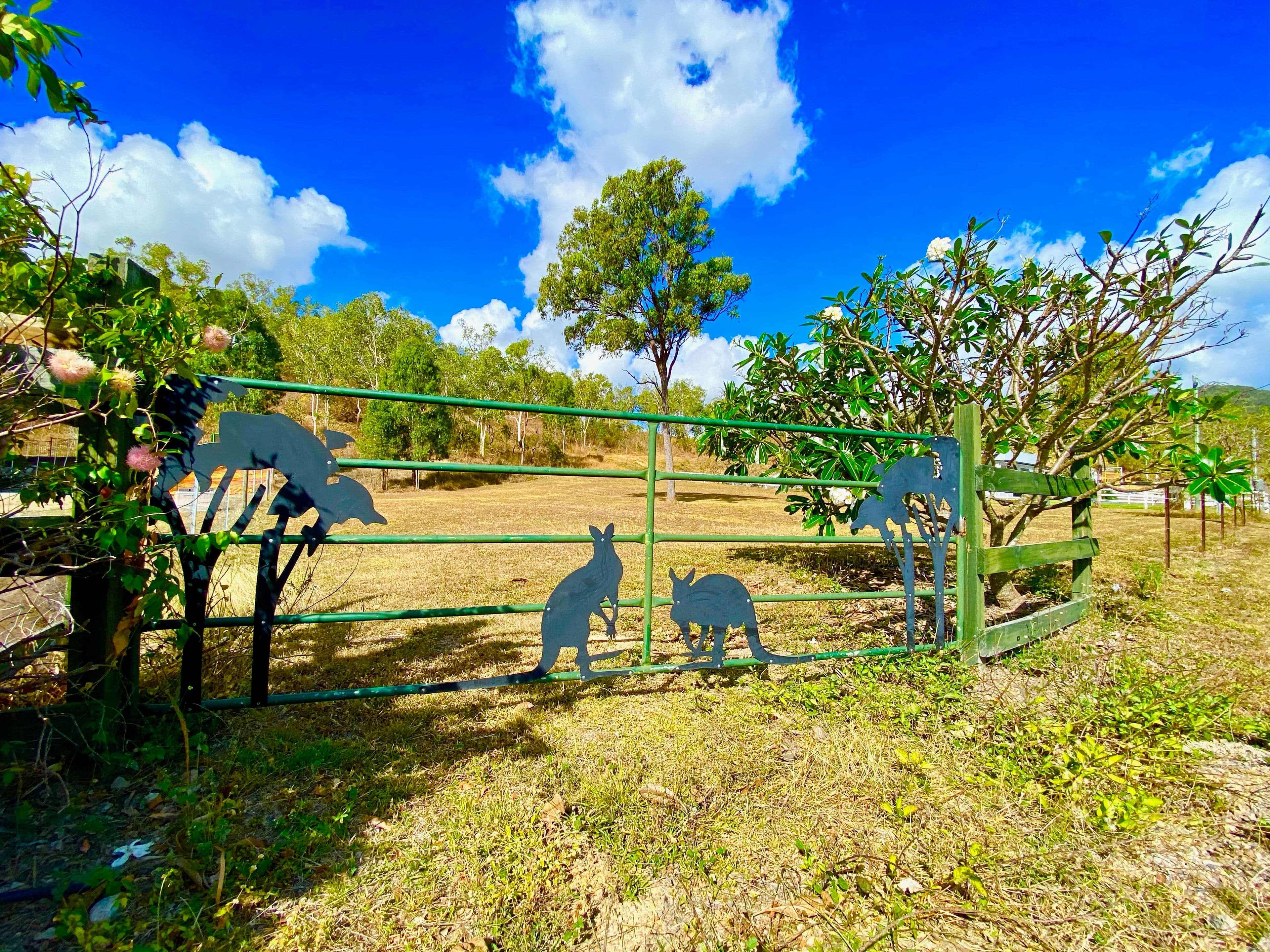 4D Hancock Road, Alligator Creek QLD 4816, Alligator Creek - Thumbnail 7