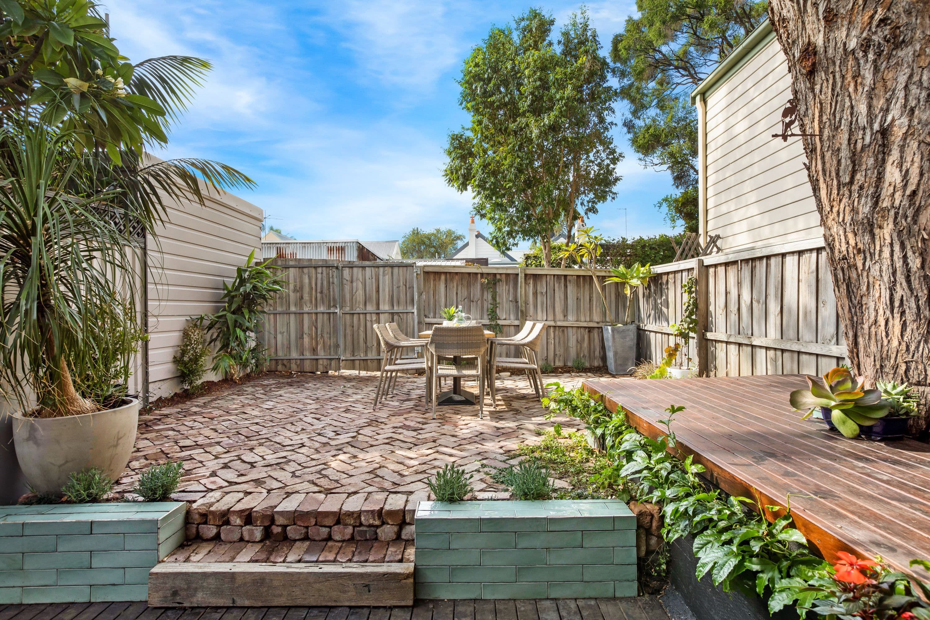 97 Charles Street, Lilyfield - Thumbnail 4