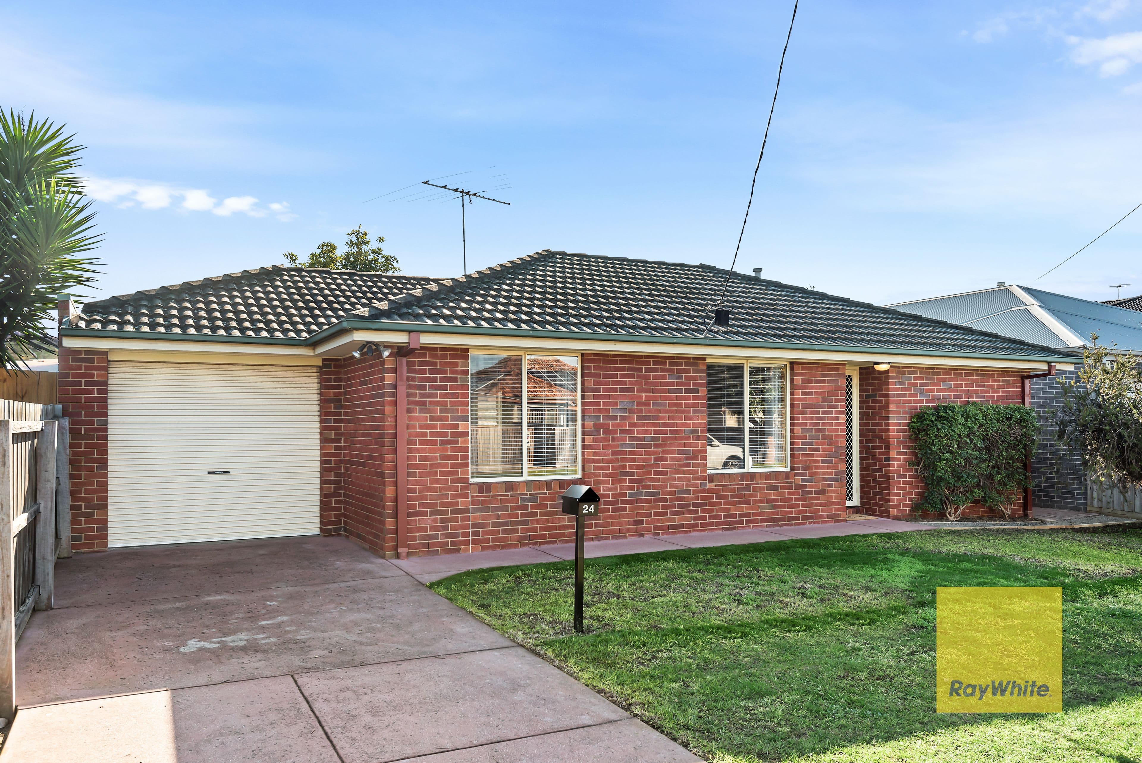 24 Watson Avenue, Belmont VIC 3216, Belmont - Image 1