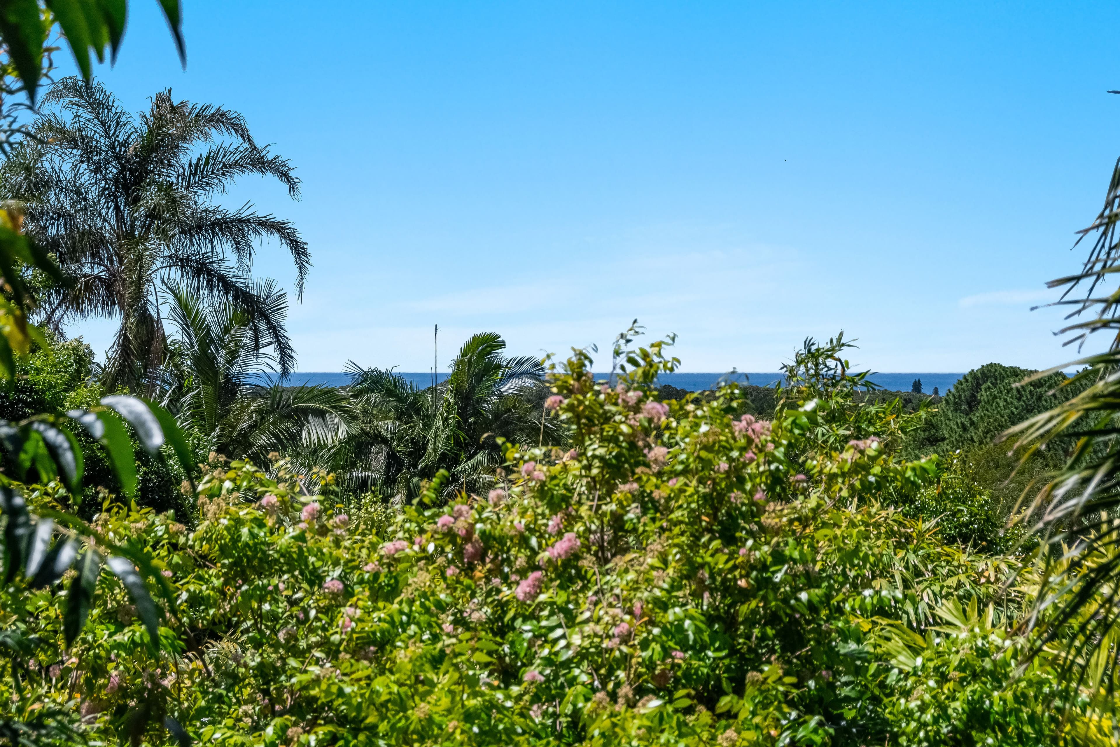 57 Corkwood Crescent, Suffolk Park NSW 2481, Suffolk Park - Thumbnail 6