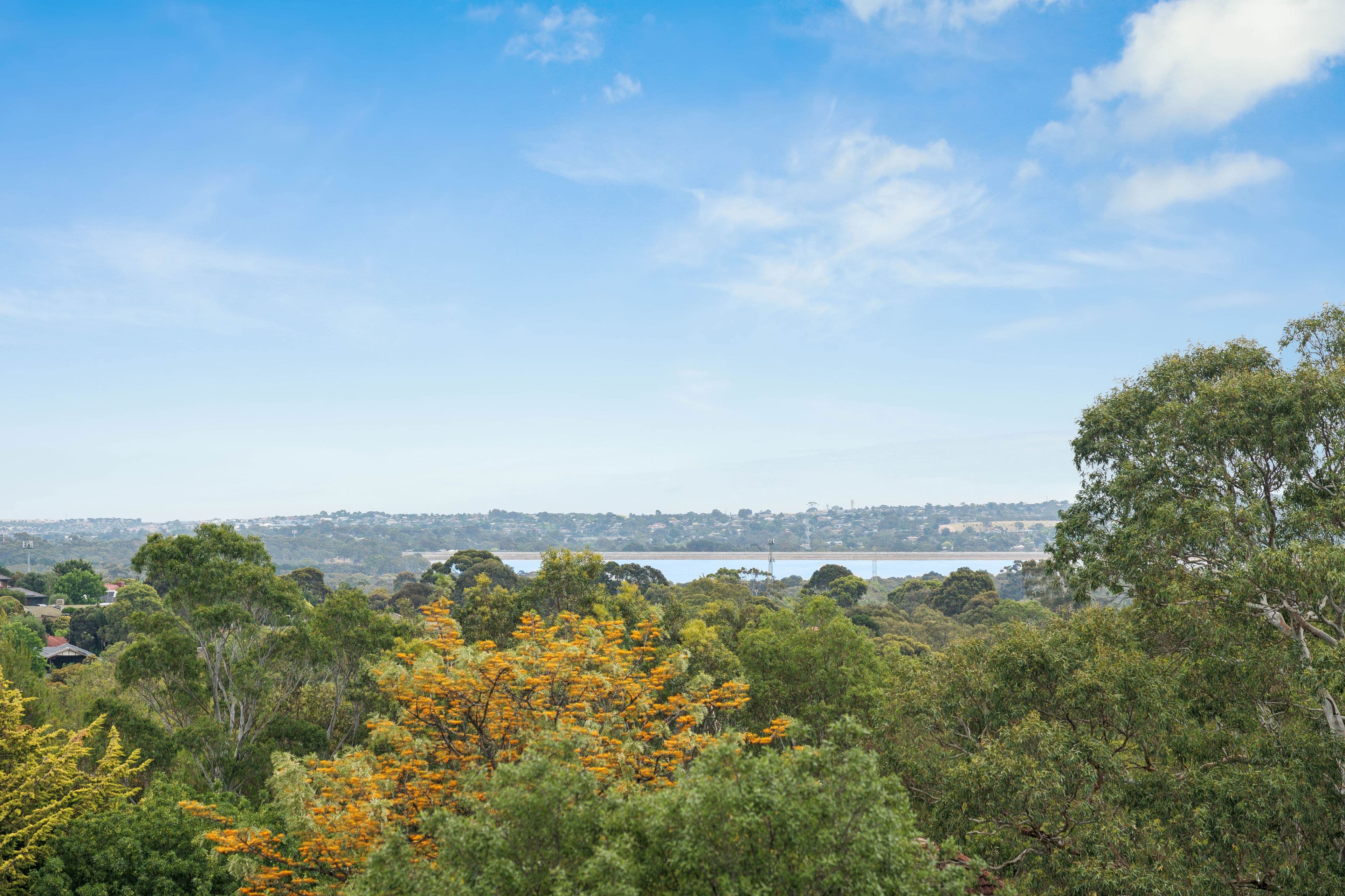 11 Tamarind Walk, Aberfoyle Park SA 5159, Aberfoyle Park - Thumbnail 2
