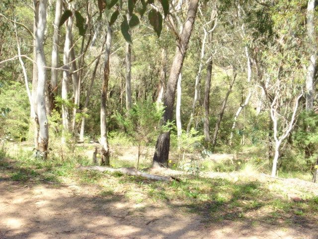 158 Victoria Street, MOUNT VICTORIA NSW 2786, Mount Victoria - Image 1