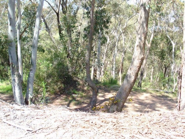 158 Victoria Street, MOUNT VICTORIA NSW 2786, Mount Victoria - Thumbnail 2
