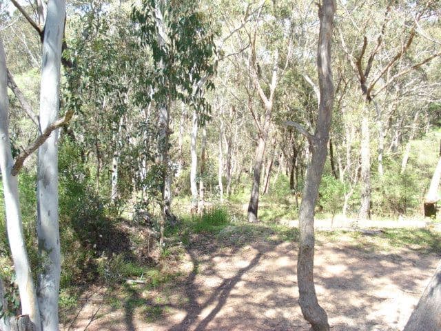 158 Victoria Street, MOUNT VICTORIA NSW 2786, Mount Victoria - Thumbnail 3