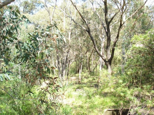 158 Victoria Street, MOUNT VICTORIA NSW 2786, Mount Victoria - Thumbnail 4