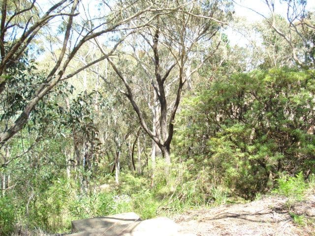 158 Victoria Street, MOUNT VICTORIA NSW 2786, Mount Victoria - Thumbnail 6