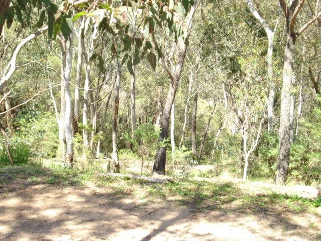 158 Victoria Street, MOUNT VICTORIA NSW 2786, Mount Victoria - Thumbnail 7