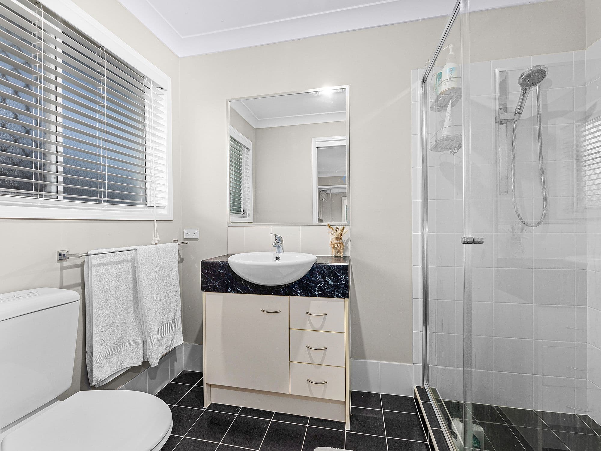 27 Colorado Drive, Springfield Lakes QLD 4300, Springfield Lakes - Thumbnail 8