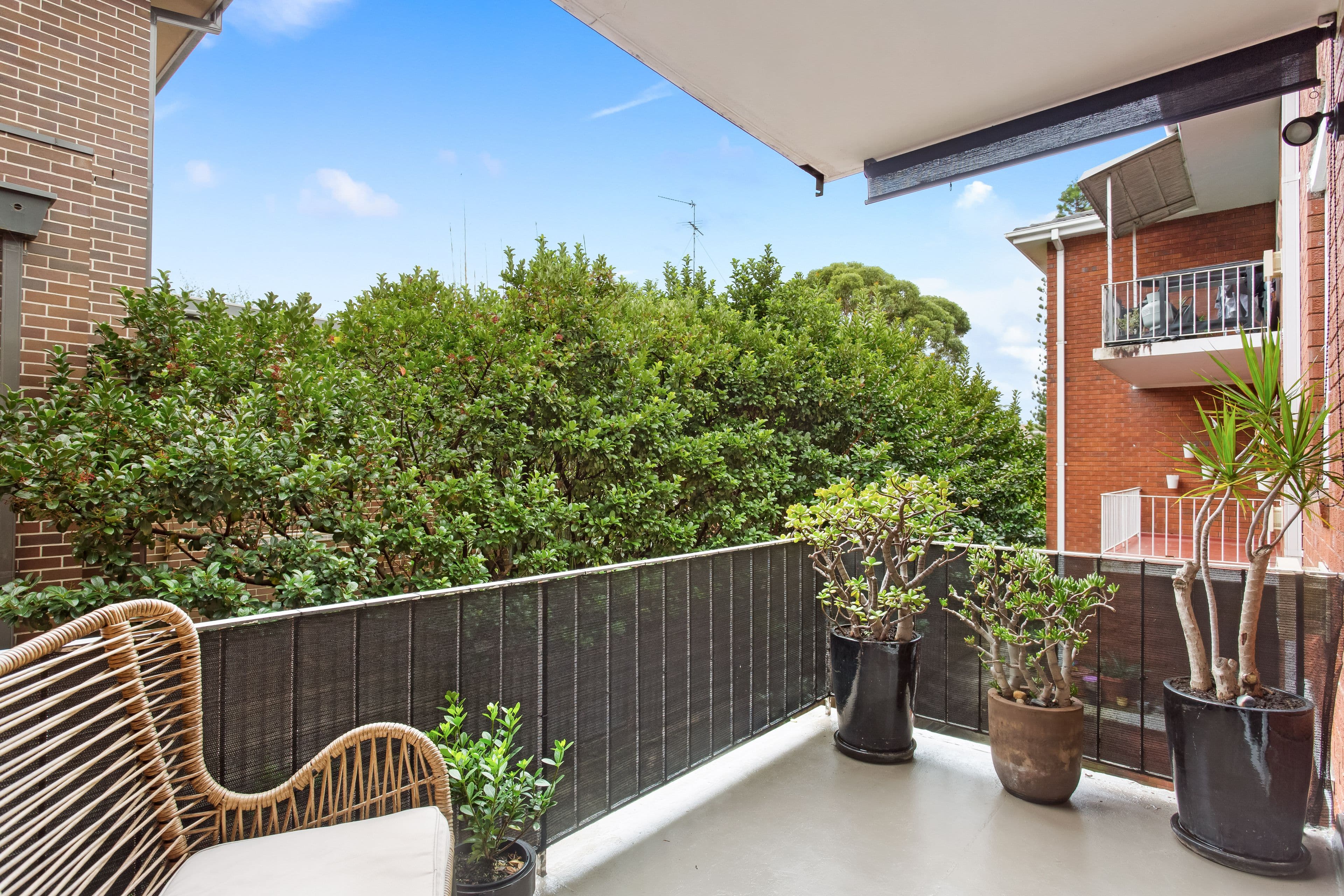 2 Dolphin Street, Randwick NSW 2031, Randwick - Thumbnail 2