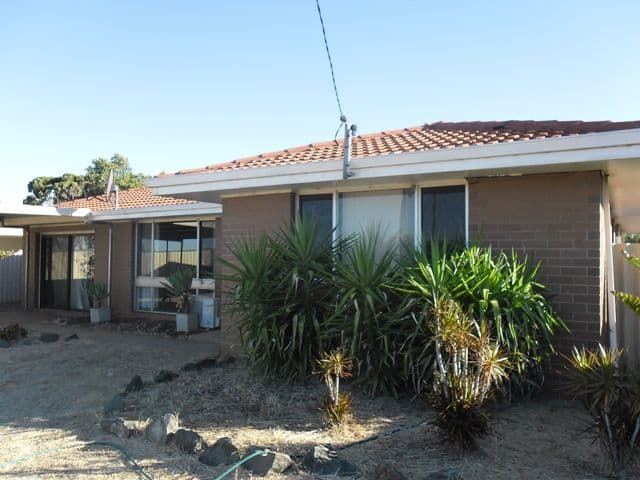 8-10 Northern Street, Three Springs WA 6519, Three Springs - Image 1