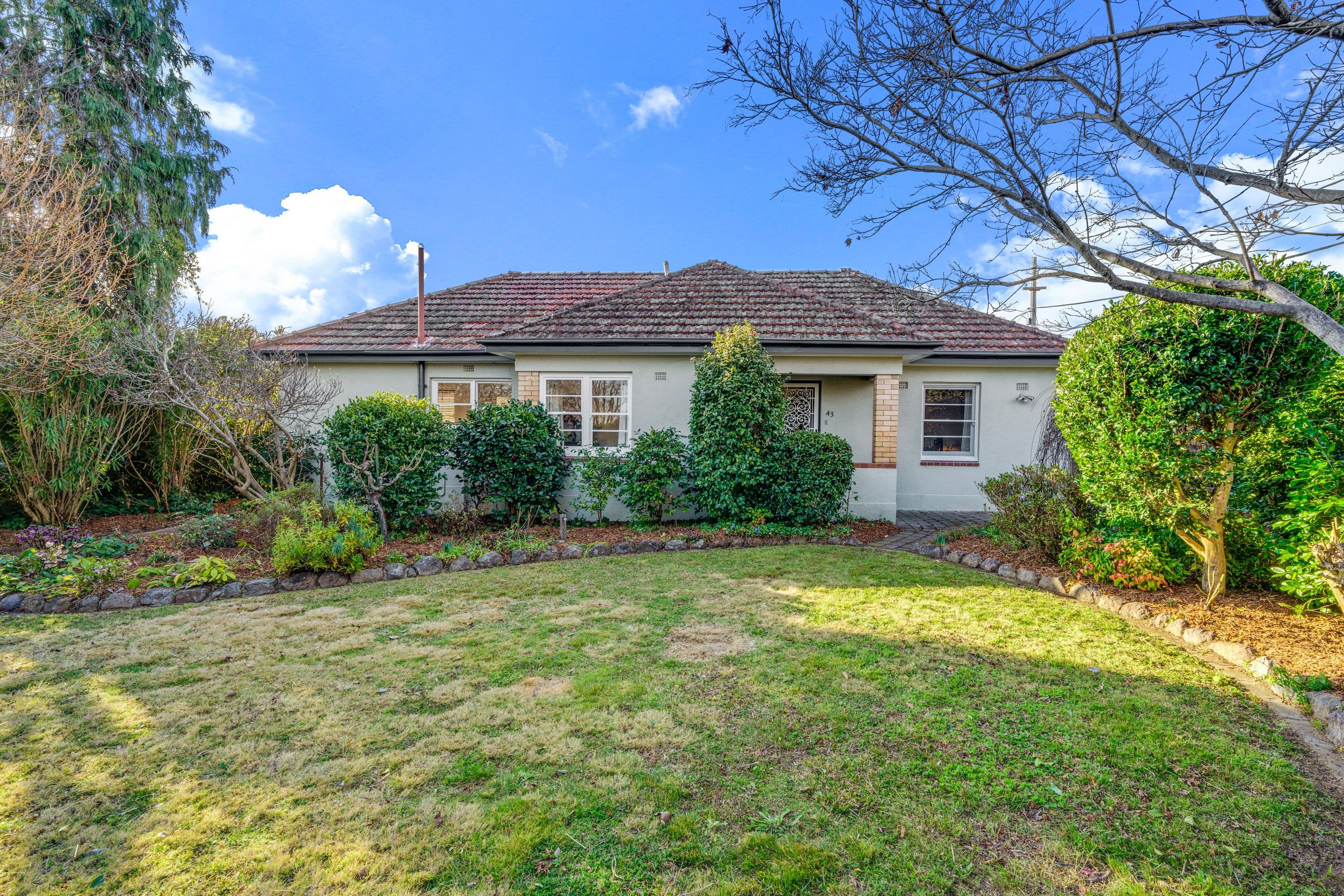 43 Foveaux Street, Ainslie ACT 2602, Ainslie - Image 1
