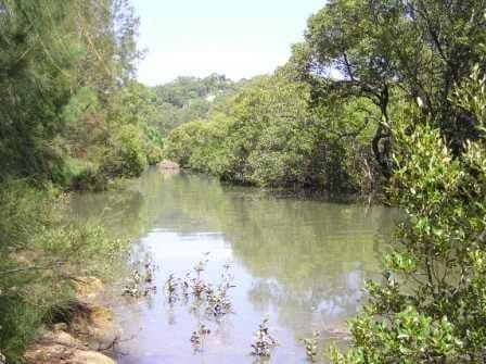 132 Siandra Drive, KAREELA NSW 2232, Kareela - Thumbnail 6