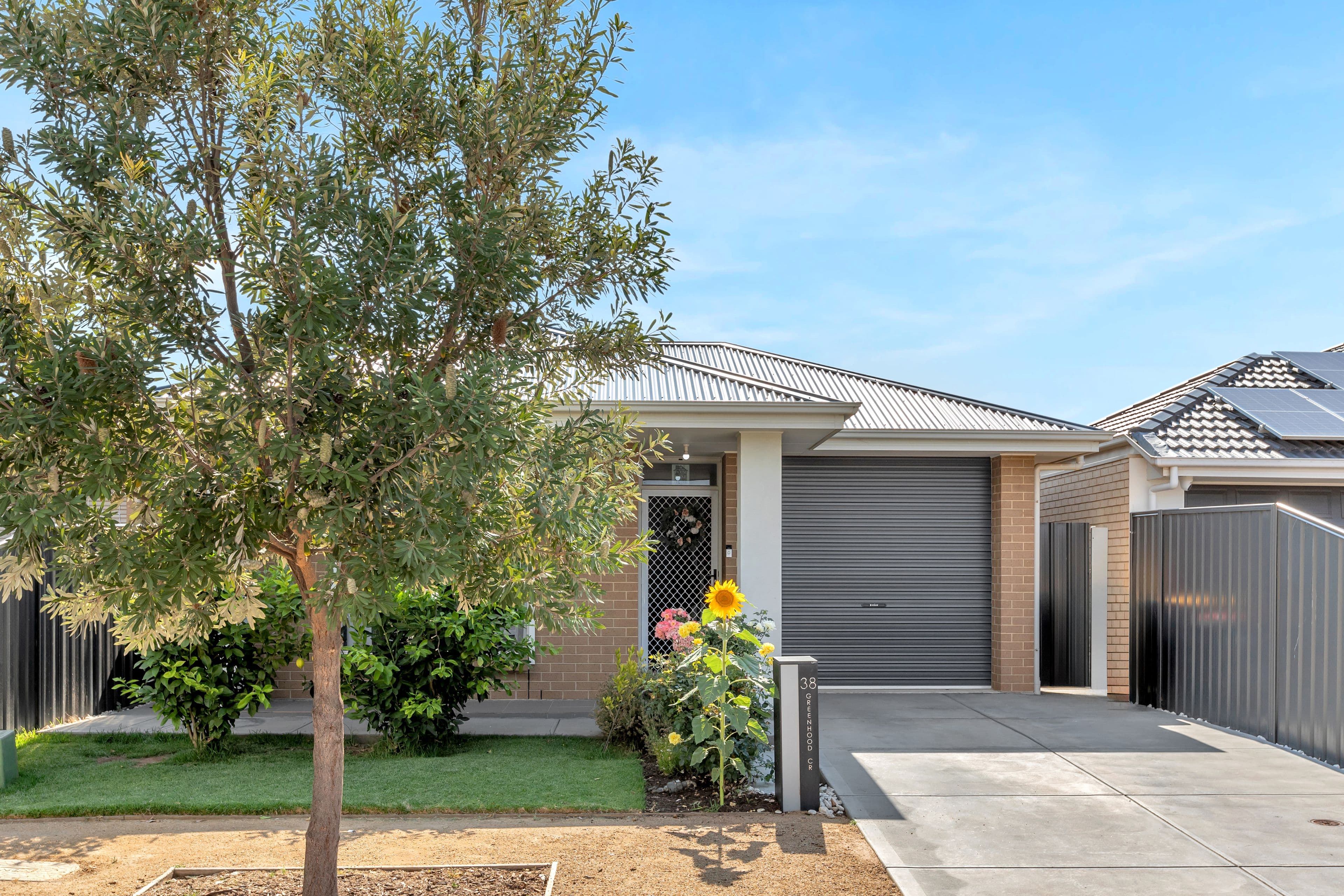 38 Greenhood Crescent, Andrews Farm SA 5114, Andrews Farm - Thumbnail 4