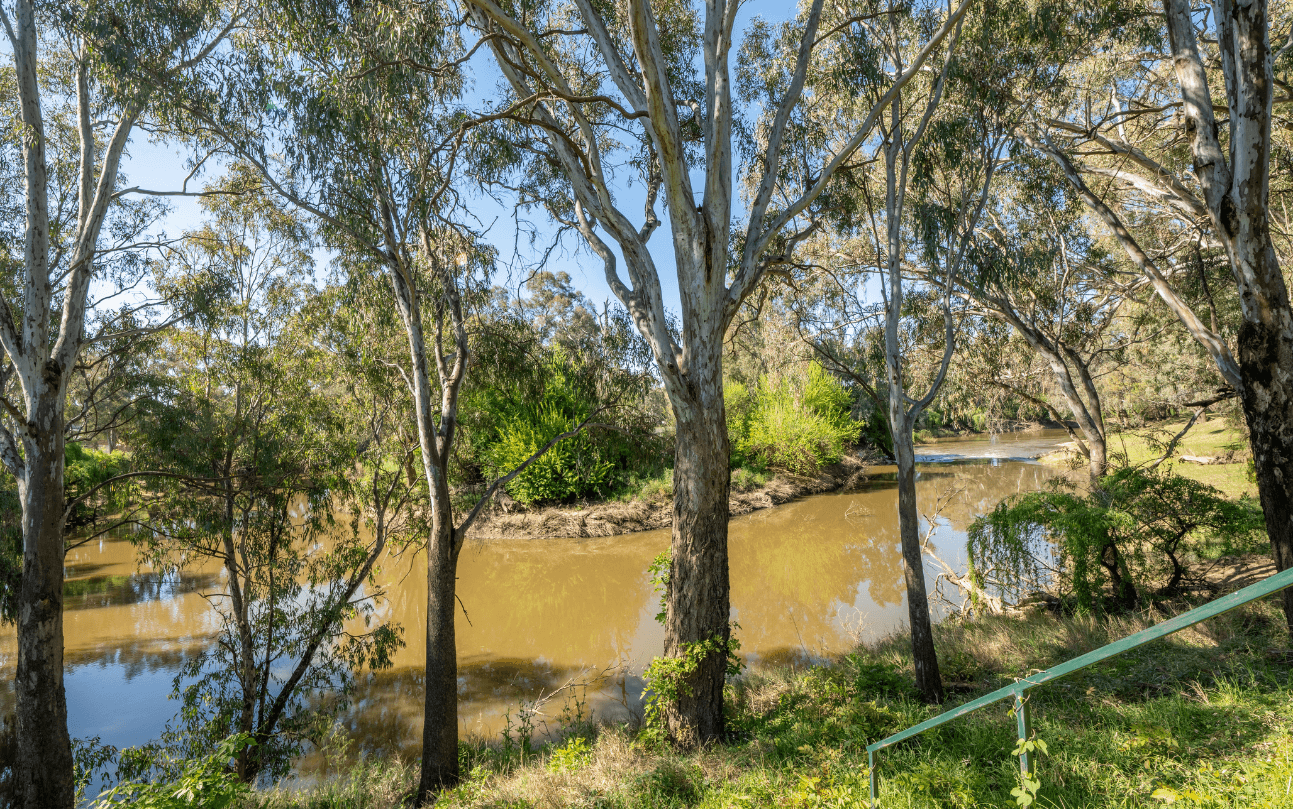 78 Reymond Street, Forbes NSW 2871, Forbes - Thumbnail 7