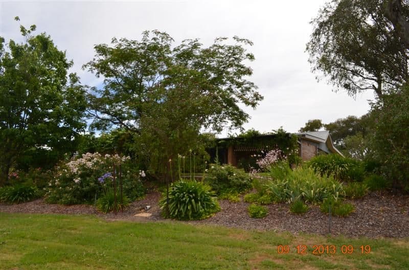 23 Doreen Cr, Ellen Grove, Ellen Grove - Thumbnail 6